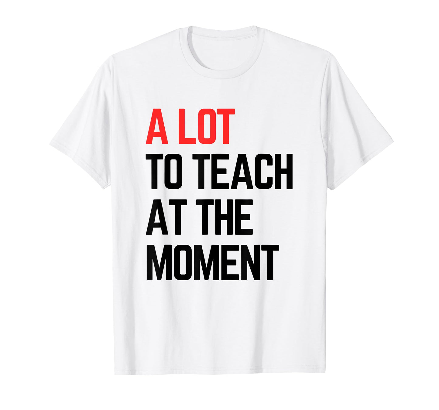 A Lot to Teach at the Moment Vibes, Inspiring Lessons Moment T-Shirt