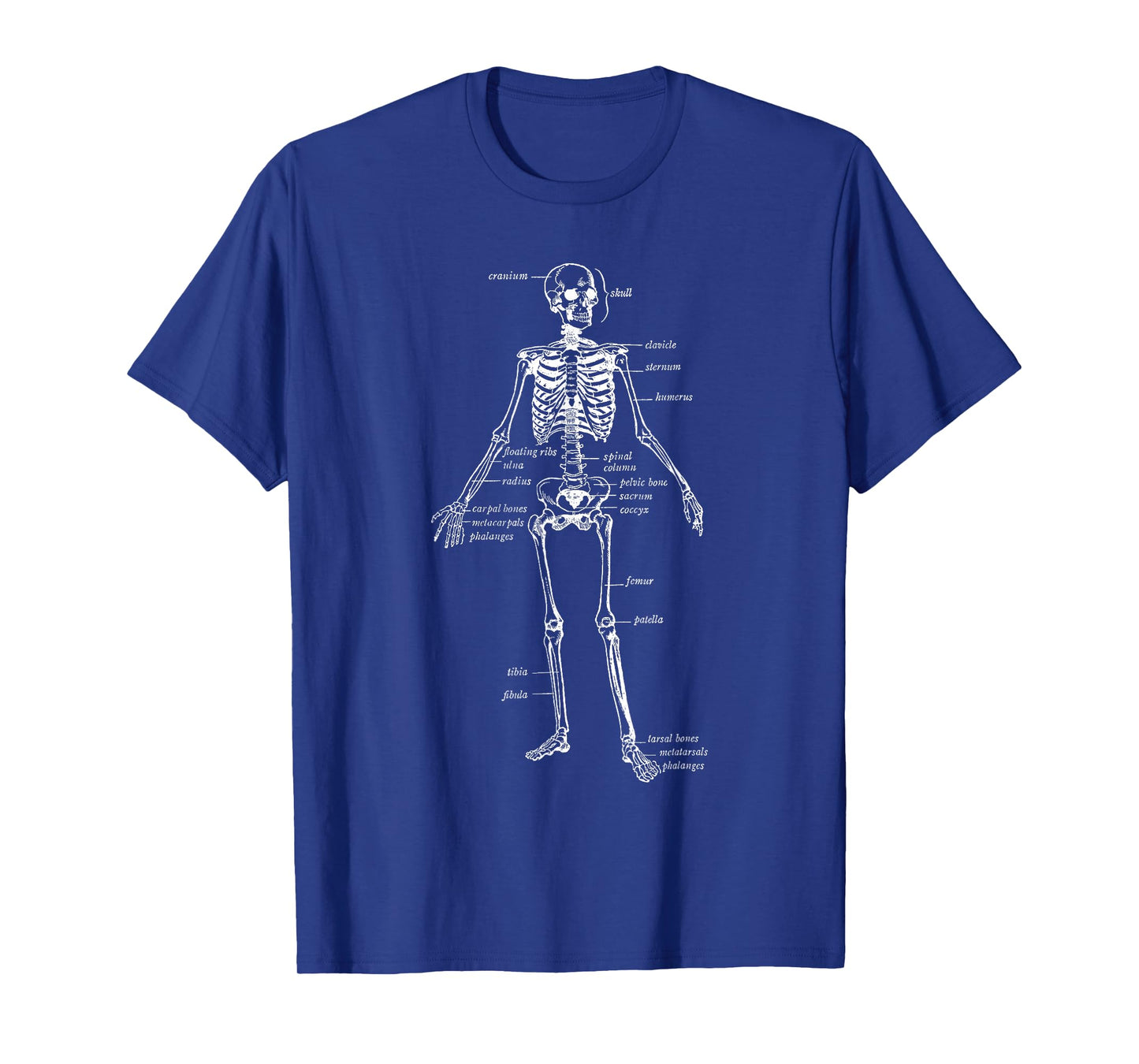 Skeleton Skeletal System Anatomy Names of Bones T-Shirt