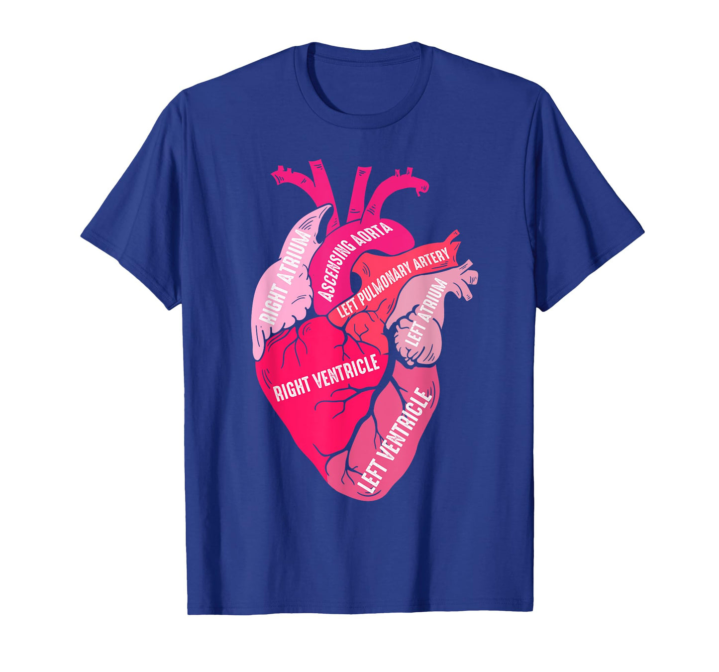 Parts Of Heart Cardiology Men Women Anatomical Cardiac T-Shirt