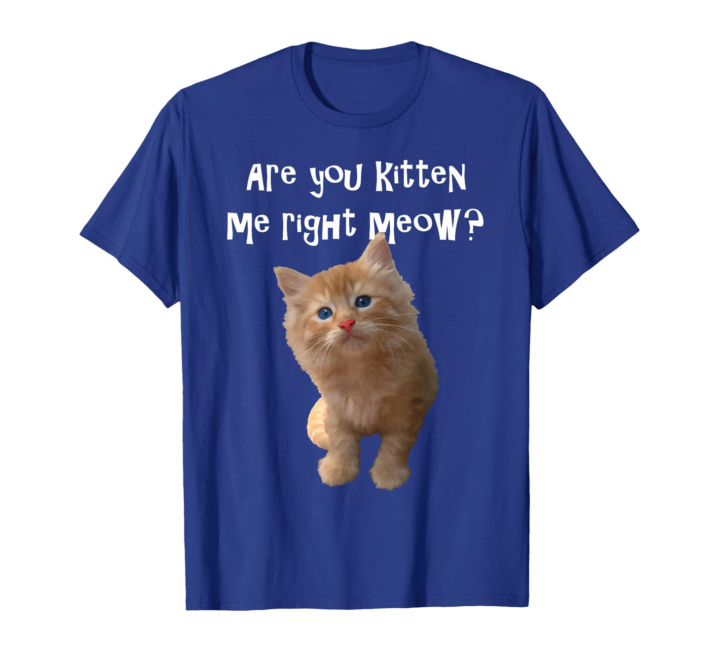 Are You Kitten Me Right Meow? T-shirt