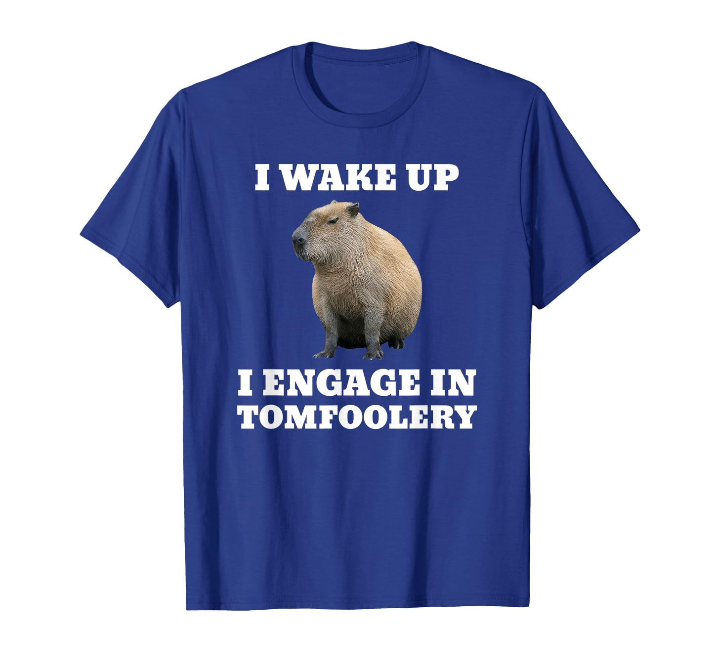 I Wake Up I Engage In Tomfoolery Meme Capybara T-Shirt