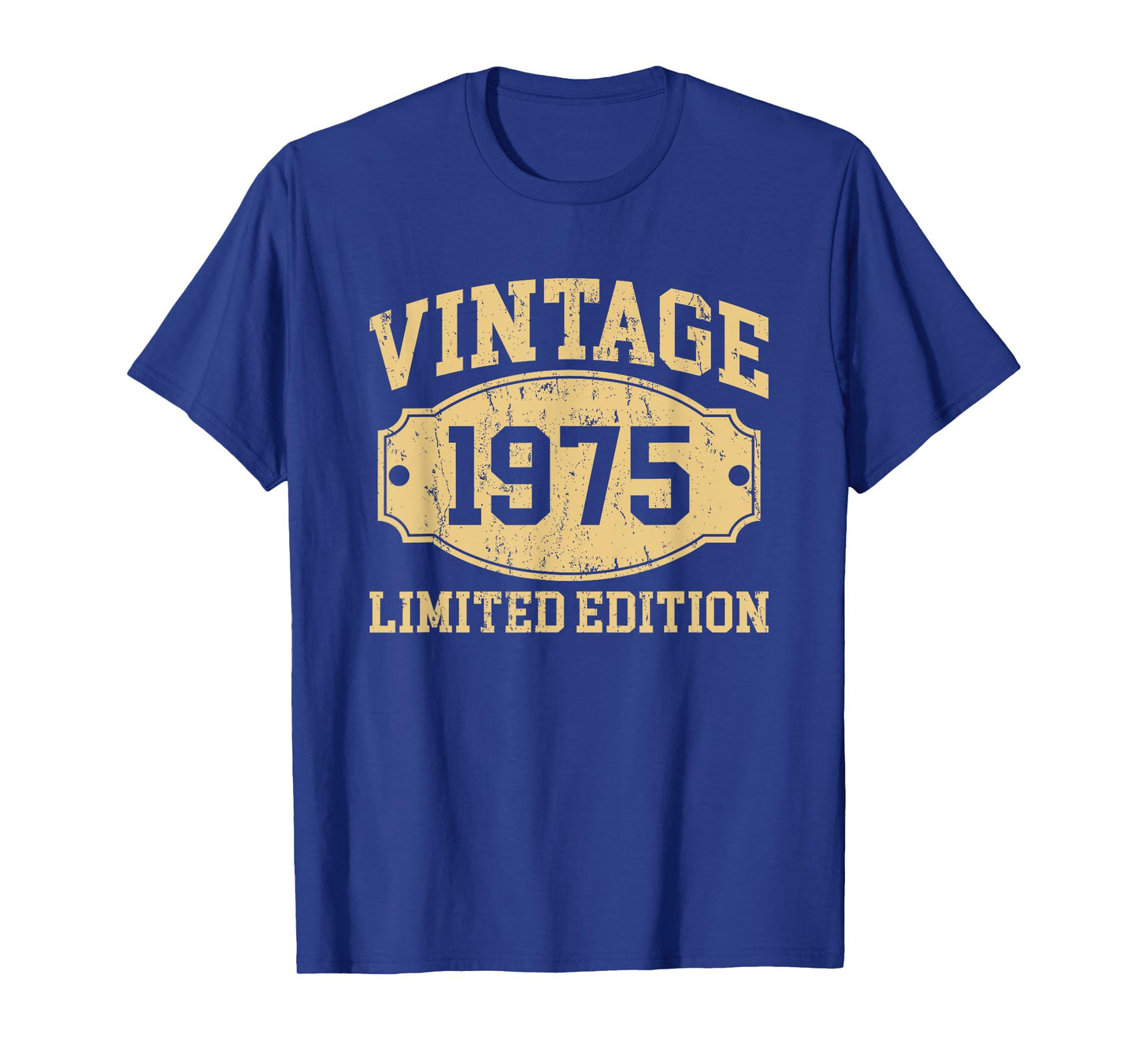 Vintage 1975 Men Women Born In 1975 Birthday Idea Vintage T-Shirt