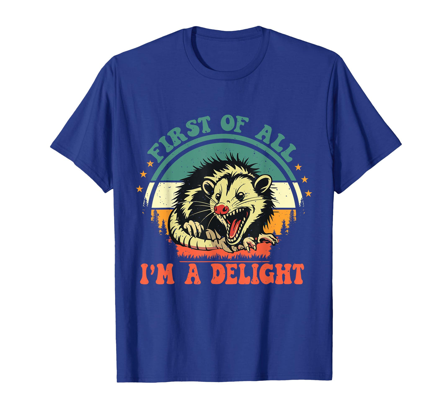 Funny Racoon First Of All I'm A Delight Men Women T-Shirt
