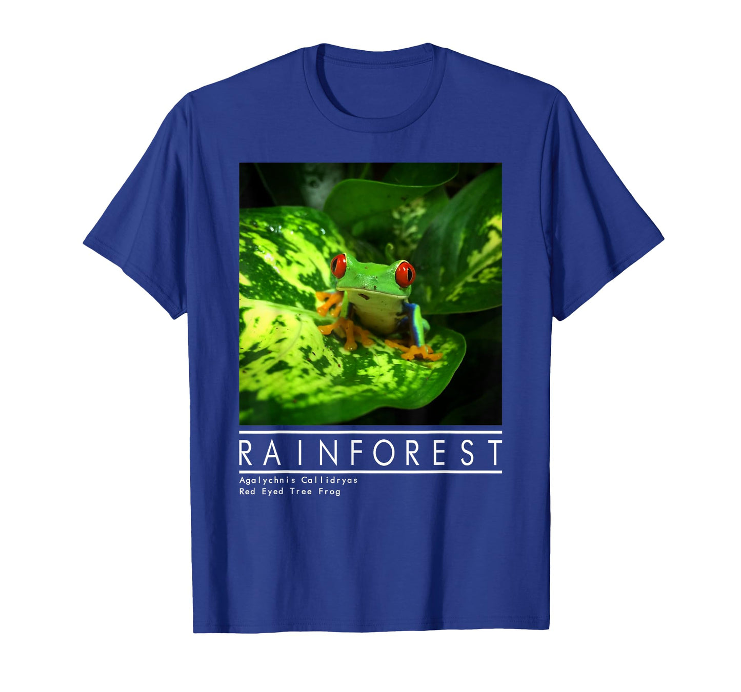 Red Eyed Tree Frog Rainforest Amphibian T-Shirt