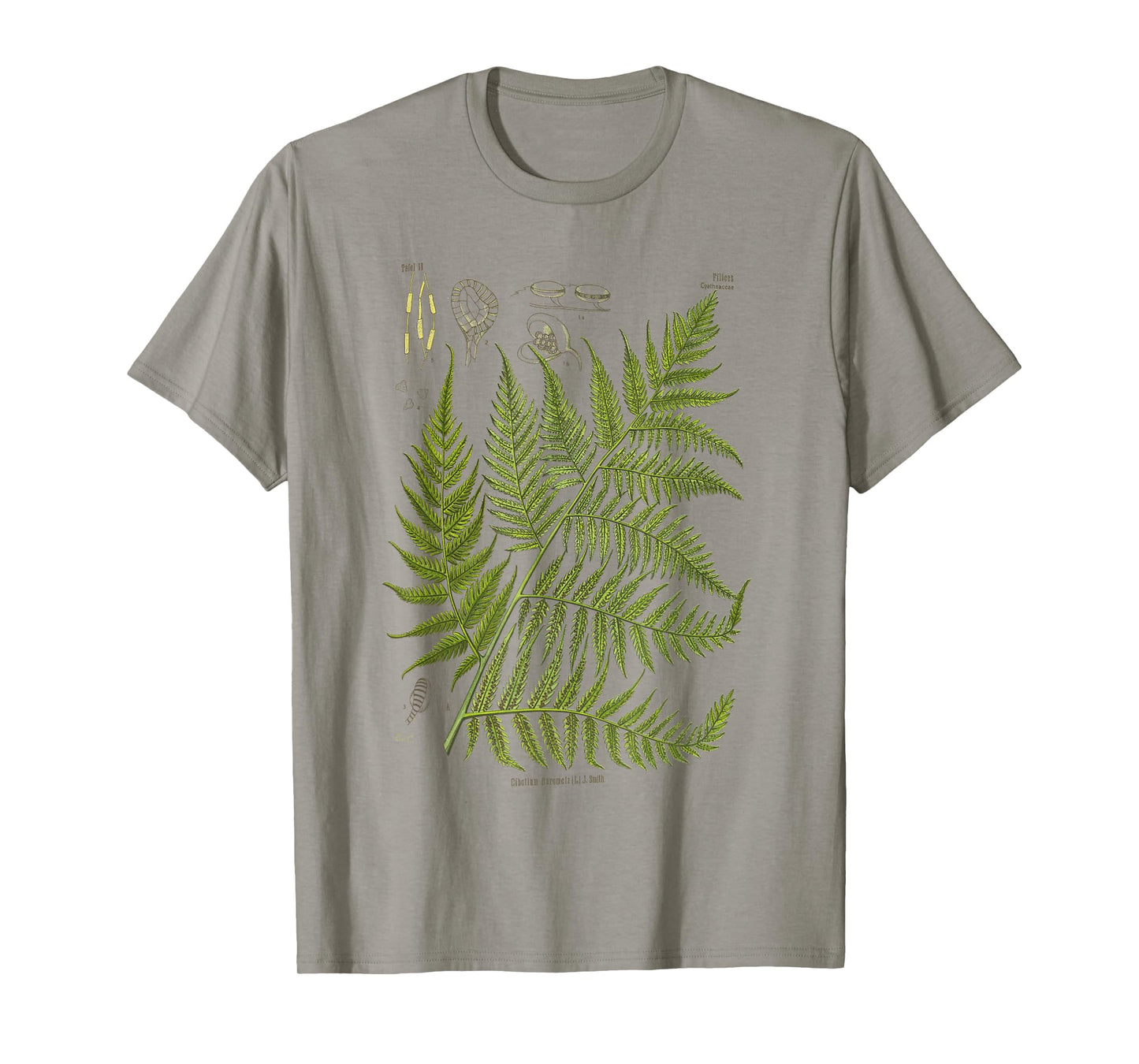 Vintage Botanical Fern Garden Botany Fern T-Shirt