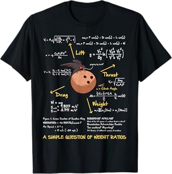 Simple Question of Weight Ratio Funny Math Teacher Geek T-Shirt