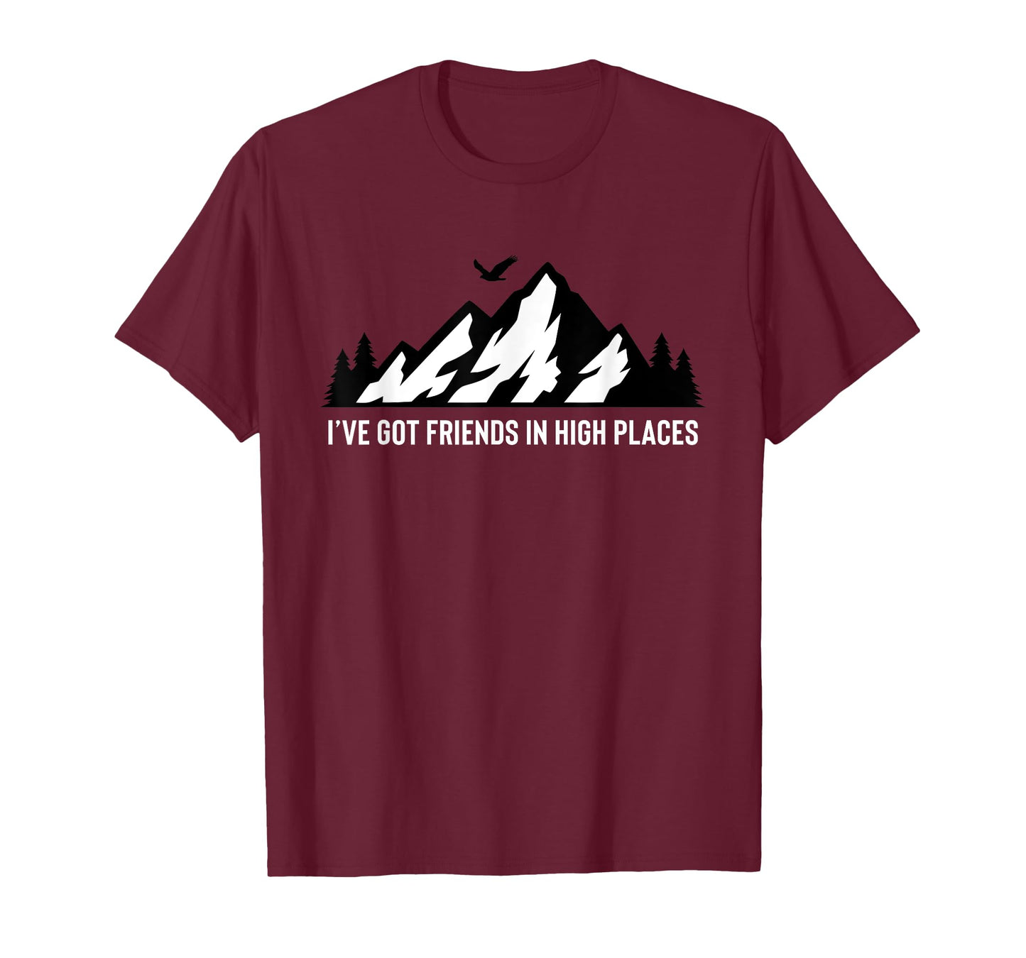 I've Got Friends In High Places Mountain Nature Camping Gift T-Shirt