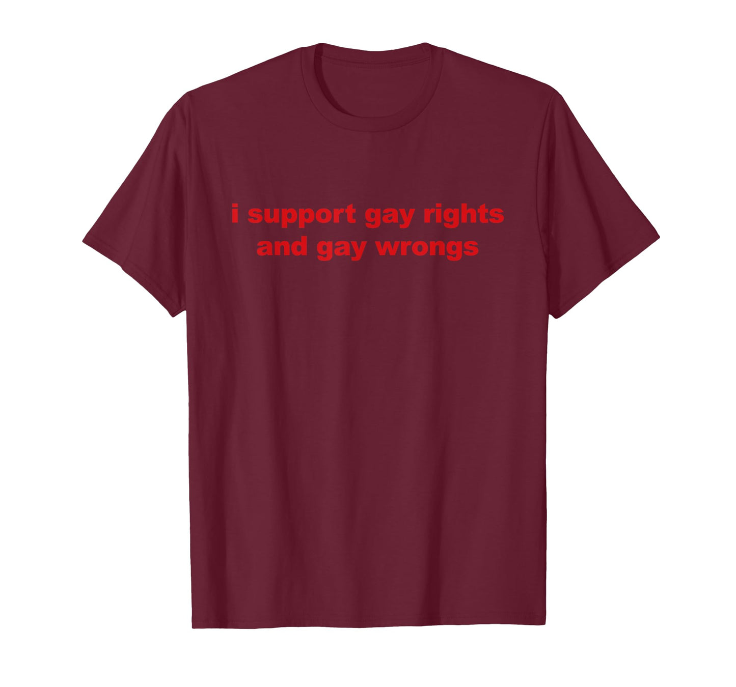I Support Gay Rights And Gay Wrong Funny LGBT Quote T-Shirt