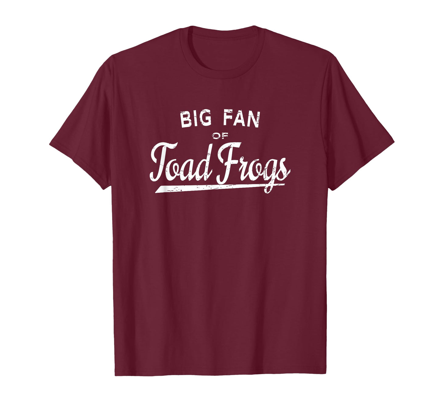 Big Fan of Toad Frogs - Frog Festival Lover T-Shirt