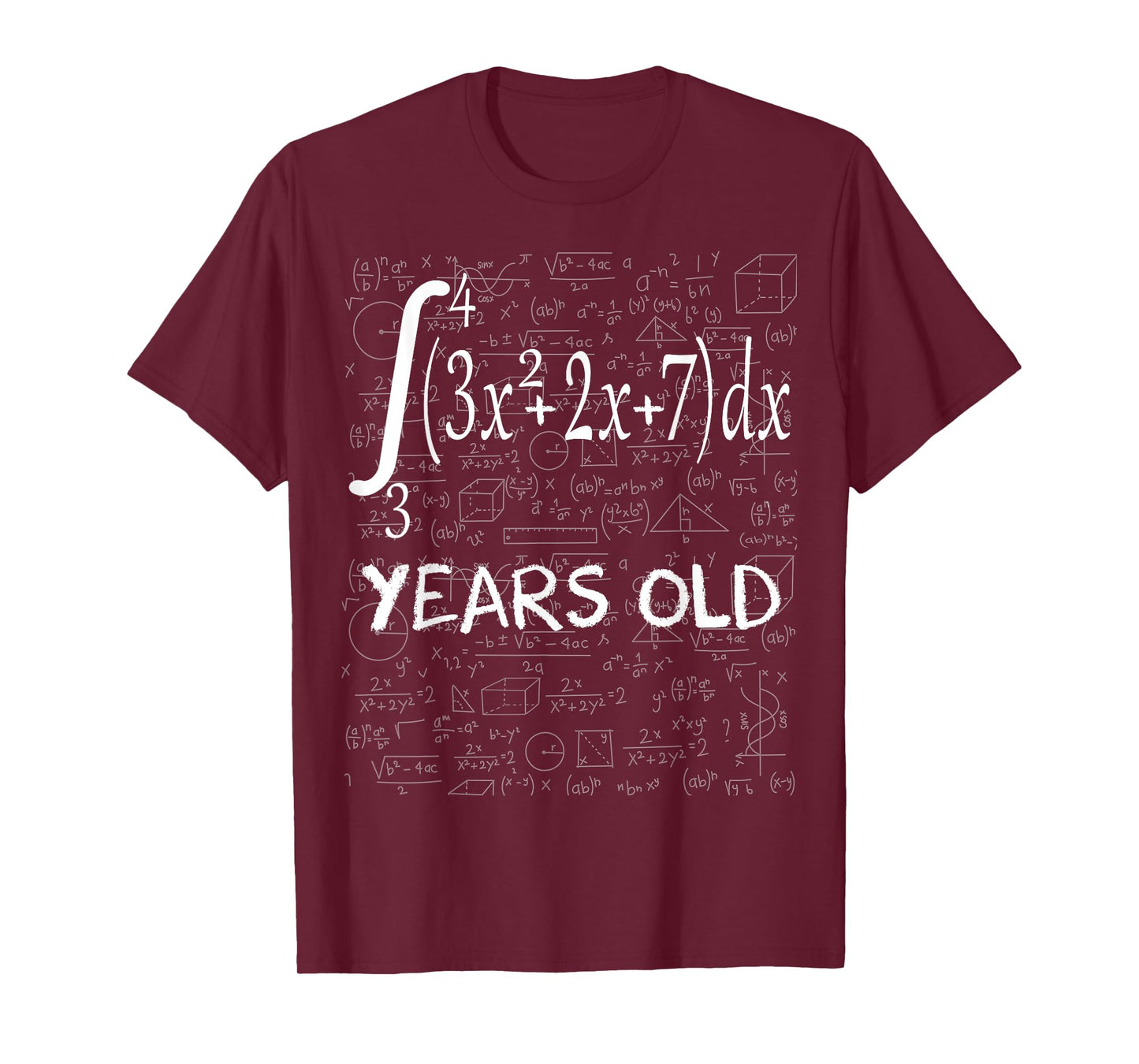 Funny math geek 51 years old 51st birthday integral calculus T-Shirt