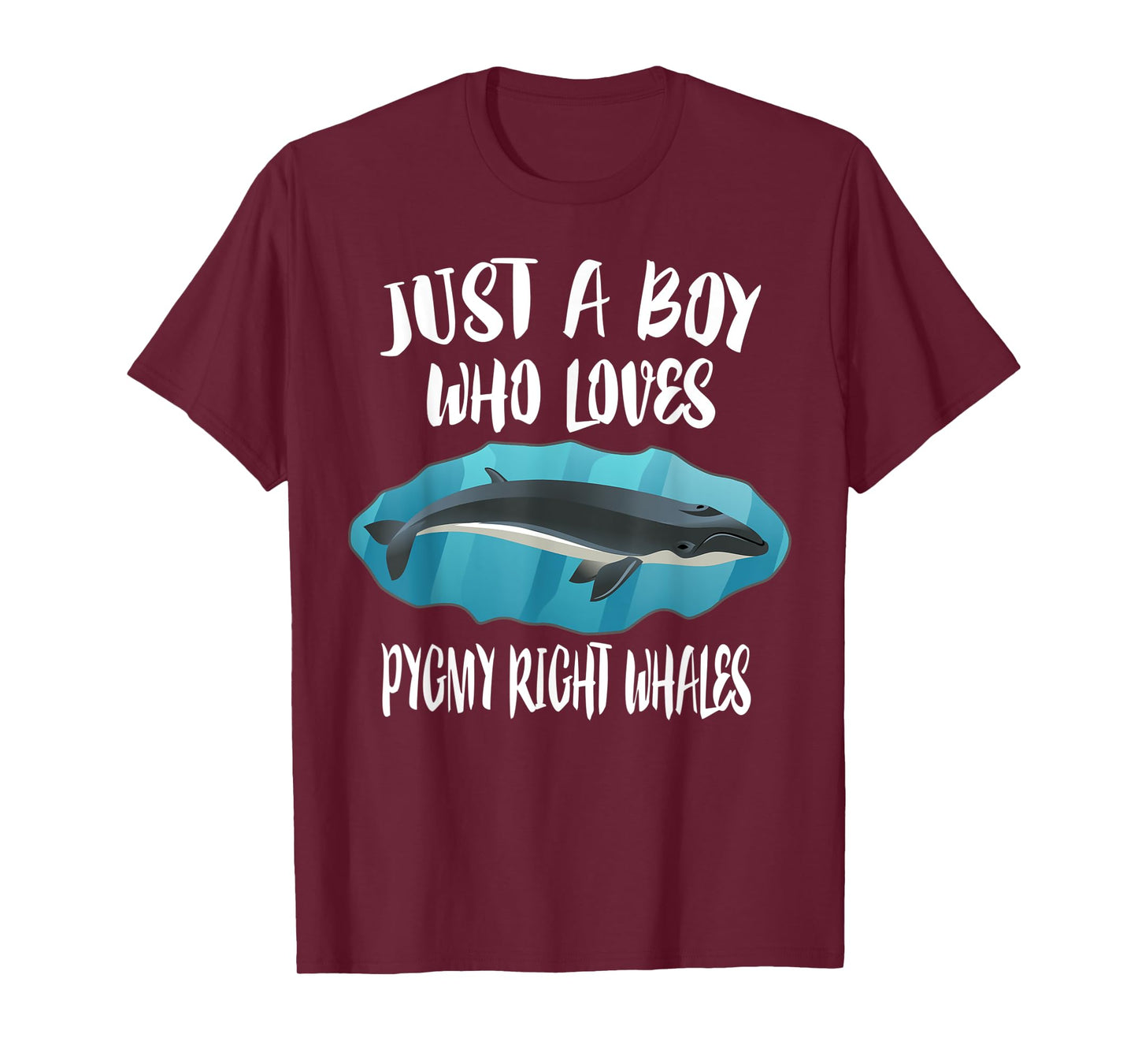Just A Boy Who Loves Pygmy Right Whales T-Shirt