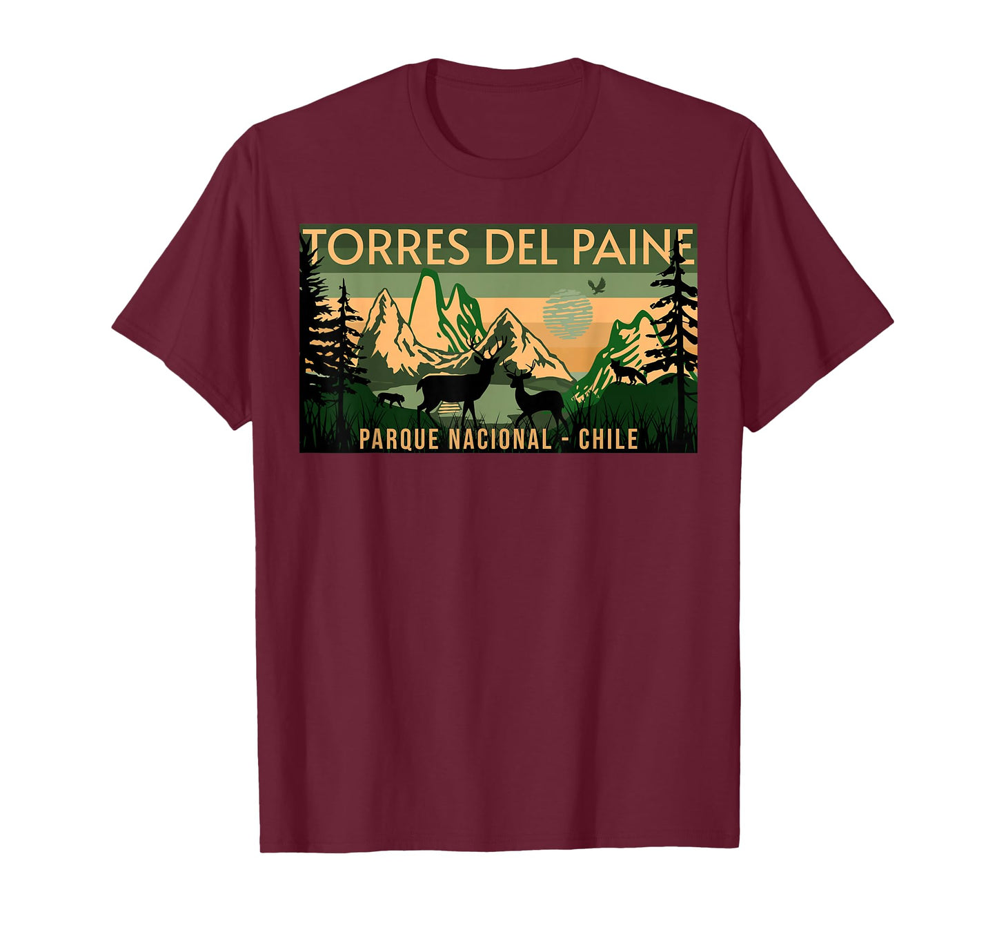 Parque Nacional Torres del Paine Chile T-Shirt, Small, Black