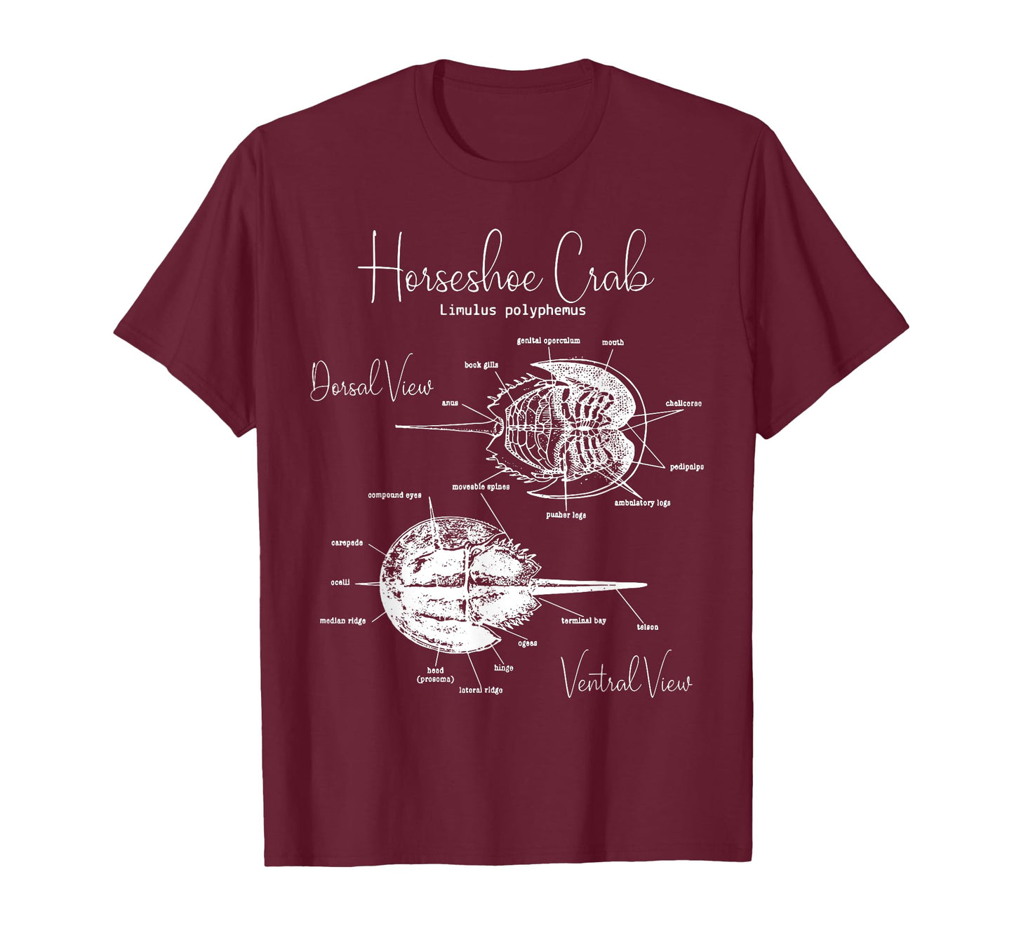 Atlantic Horseshoe Crab Anatomy Marine Biology Ocean Animal T-Shirt