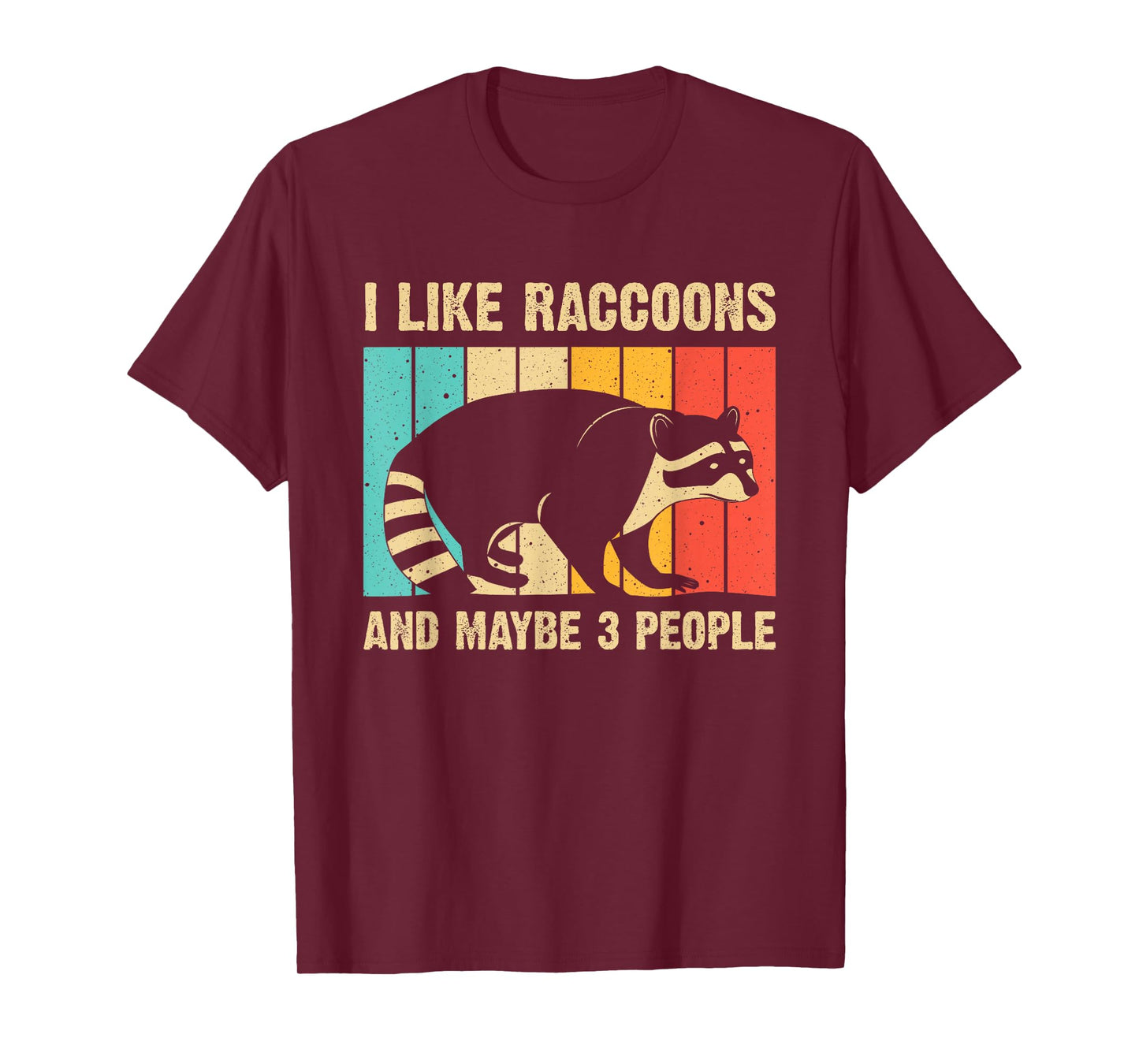 Funny Raccoon Design For Men Women Raccoon Lover Introvert T-Shirt, Black
