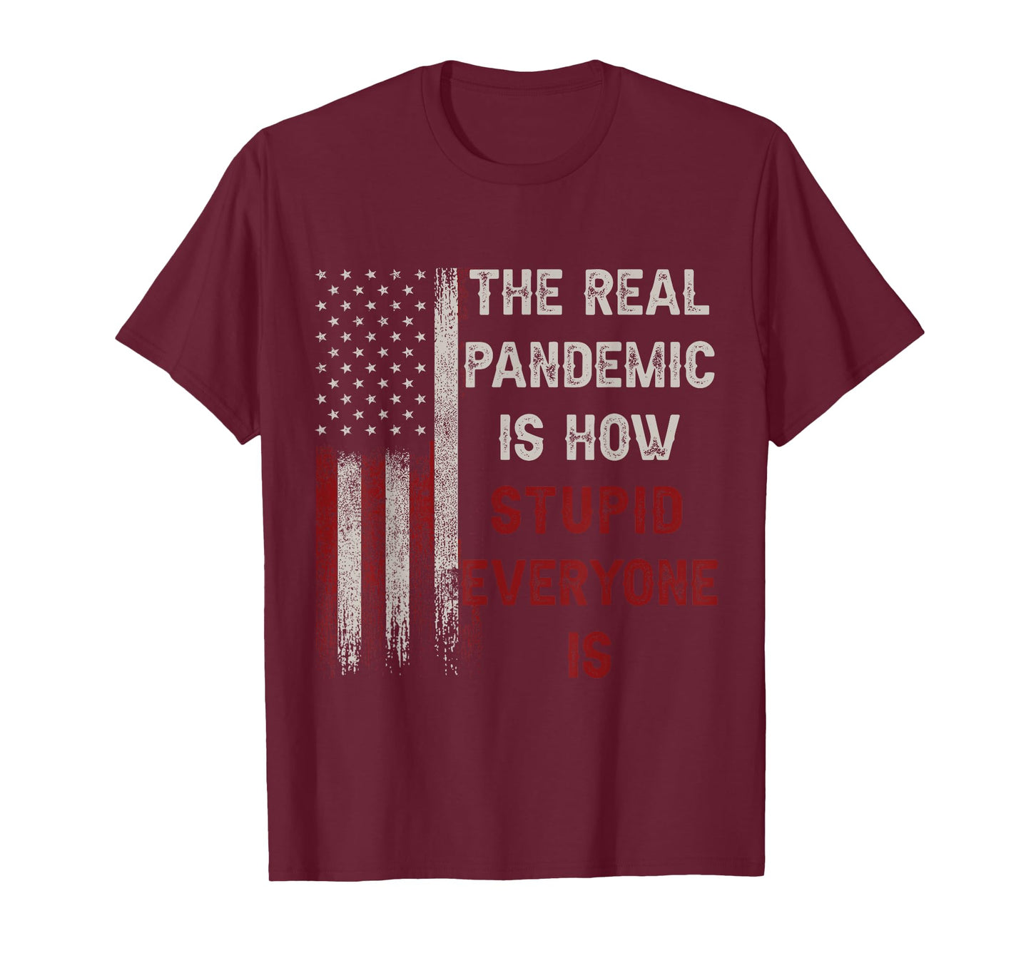 The Real Pandemic Is How Stupid Everyone Is 1776 Vintage T-Shirt