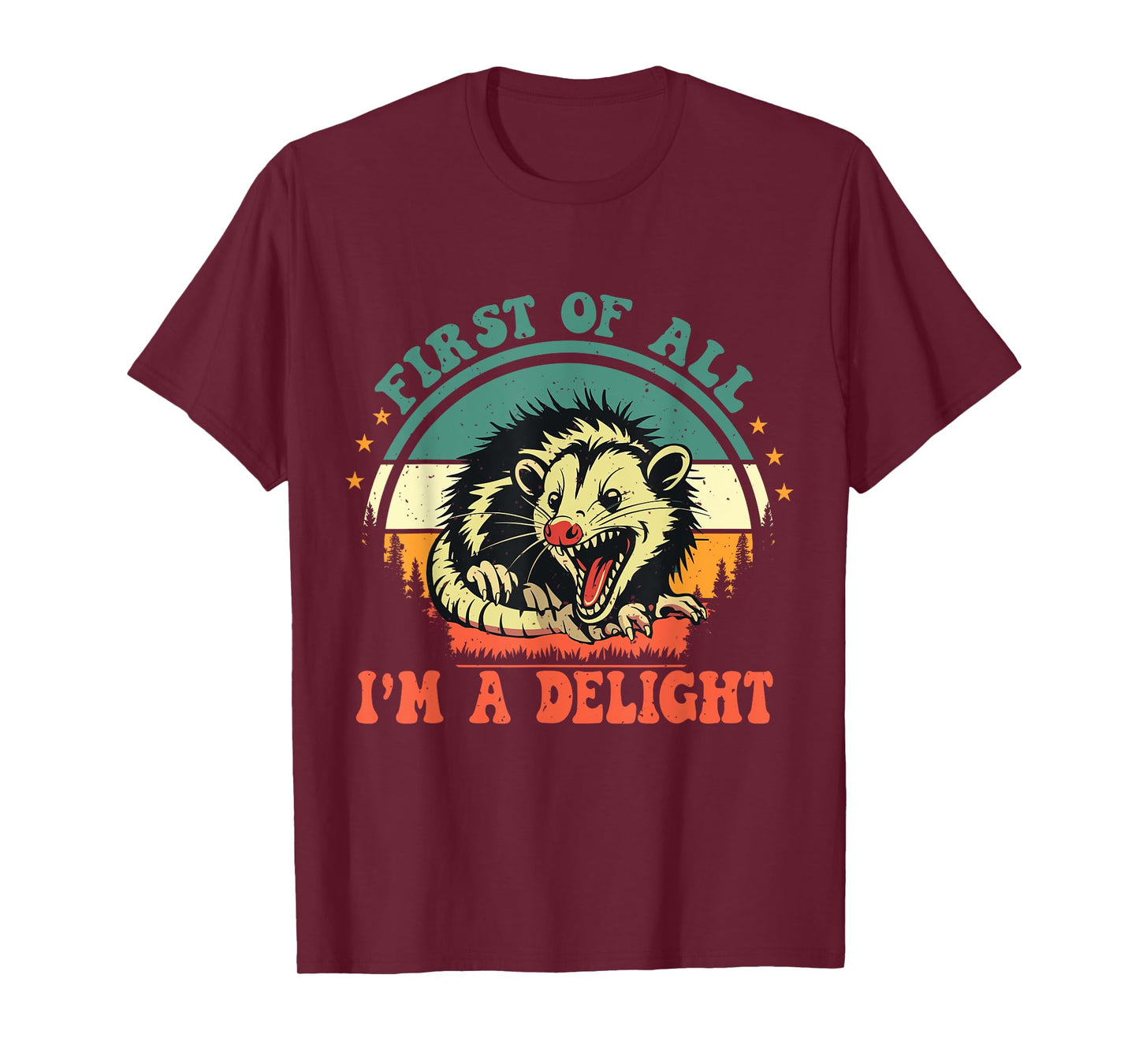 Funny Racoon First Of All I'm A Delight Men Women T-Shirt