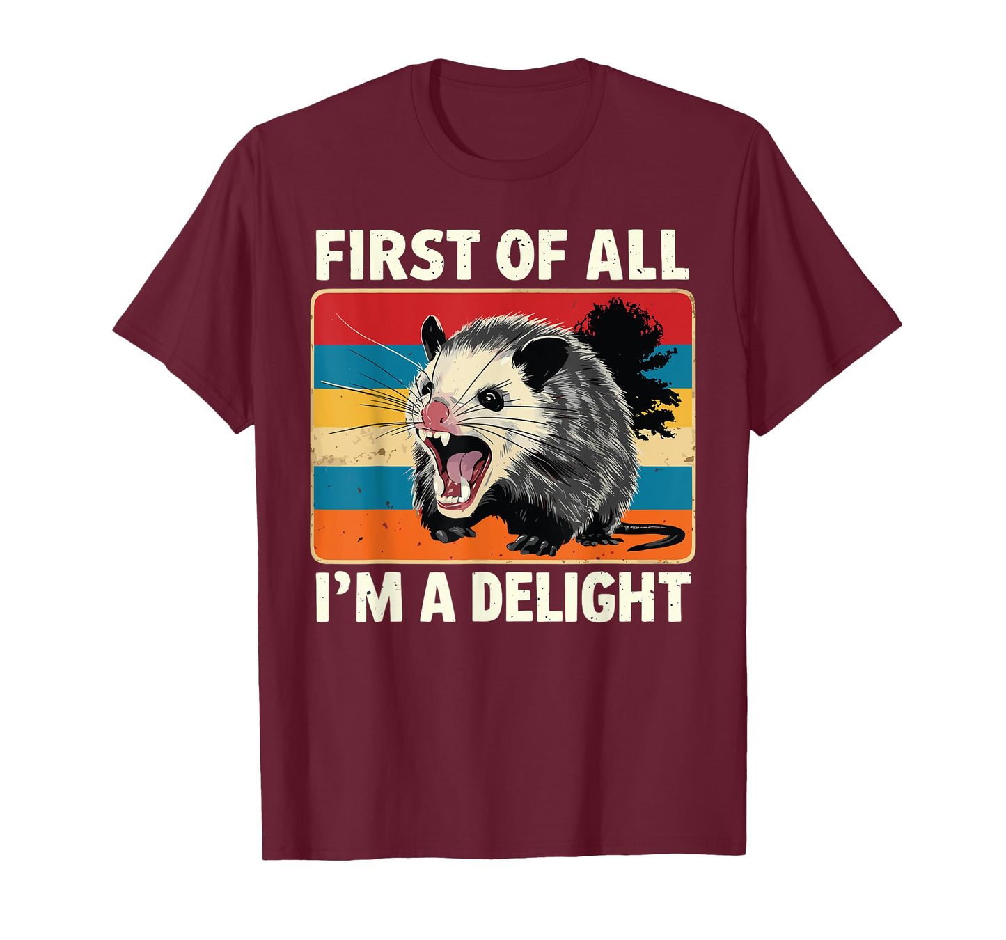 FIRST OF ALL I’M A DELIGHT Sarcastic Angry Opossum Possum T-Shirt
