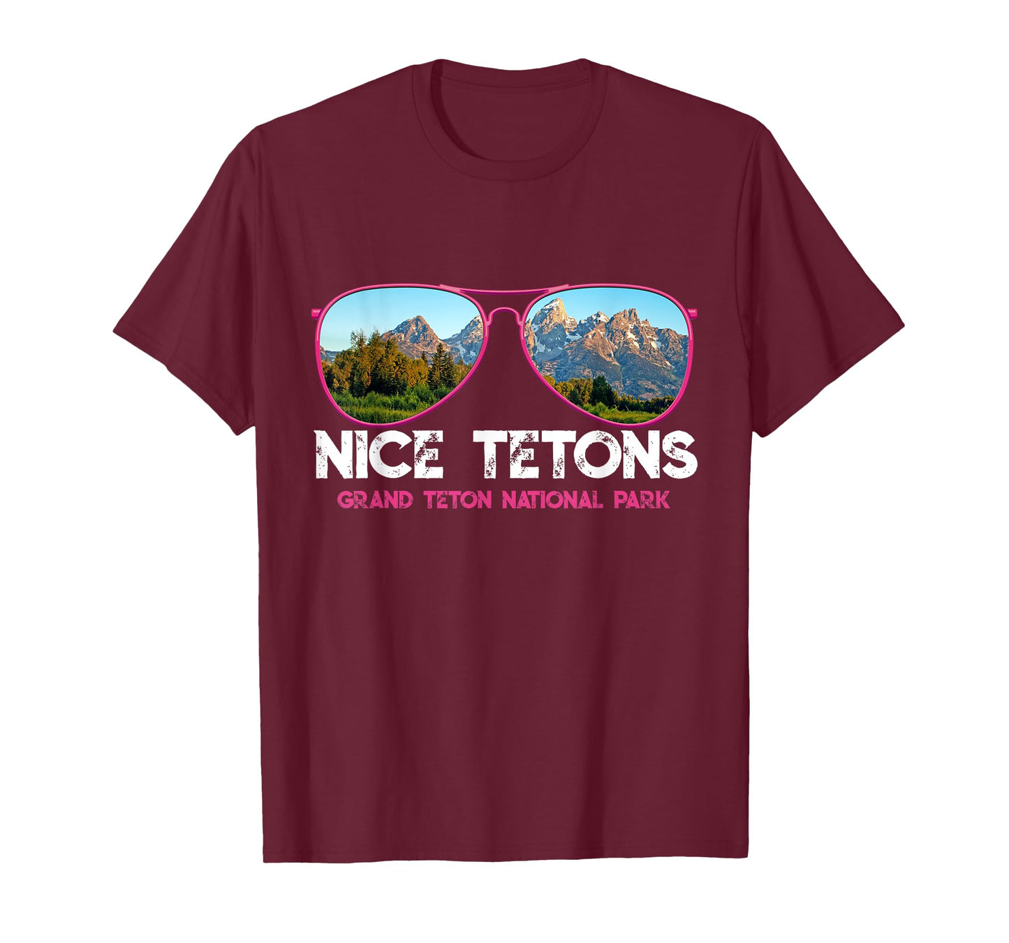 Punny Nice Tetons Teton Mountain T-Shirt