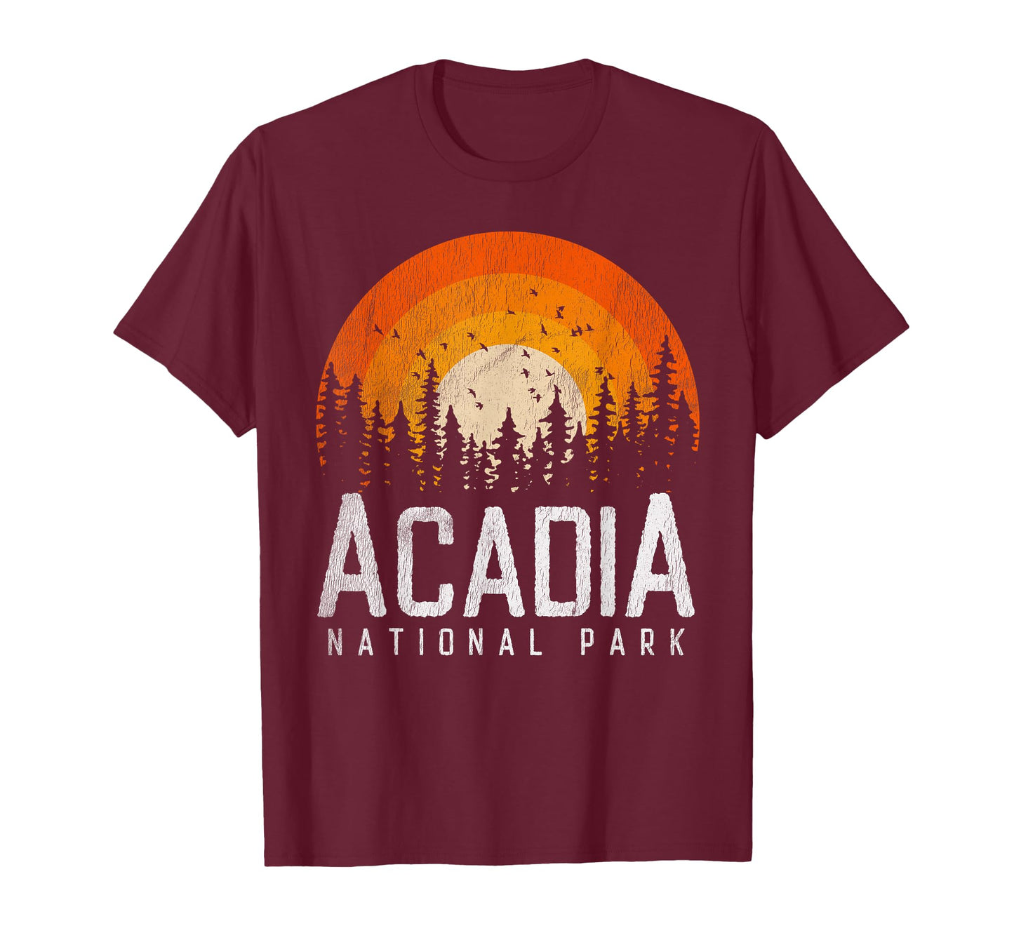 Acadia - National Park Vintage Men Women 70s 80s Outdoor T-Shirt