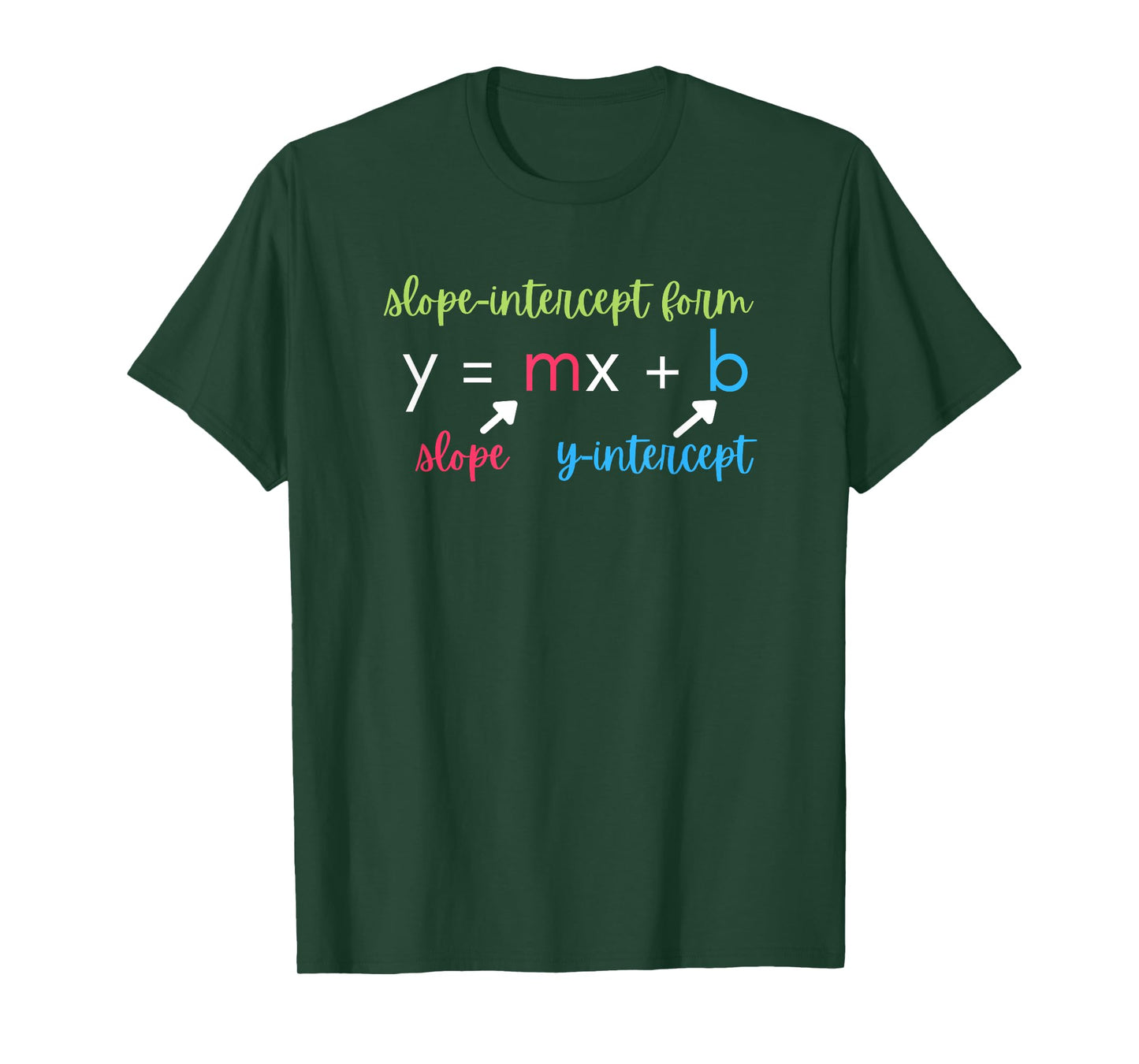 Math Teacher Slope Intercept Form Algebra T-Shirt for Men Women