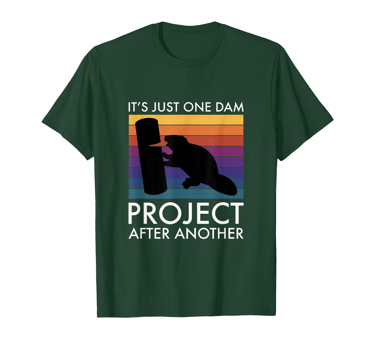 It's Just One Dam Project After Another T-Shirt