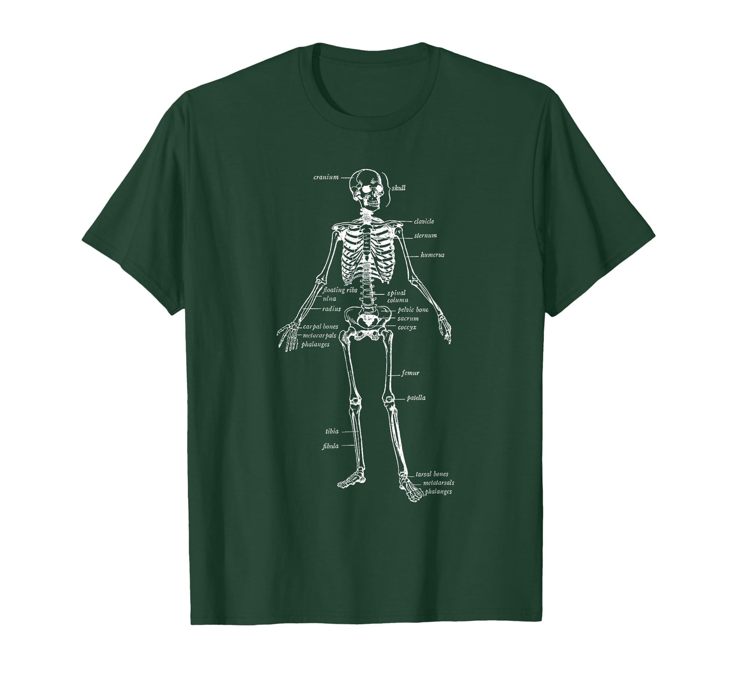 Skeleton Skeletal System Anatomy Names of Bones T-Shirt
