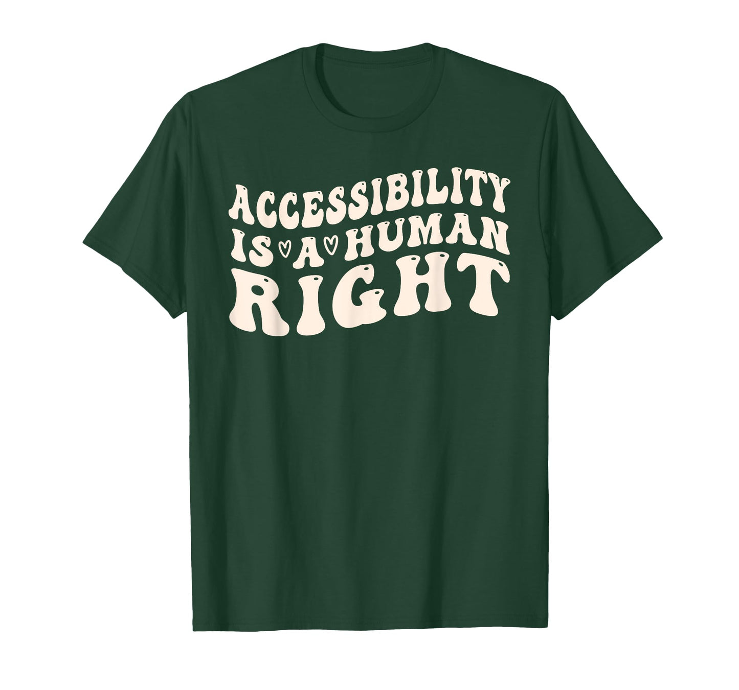 Accessibility and Disability Awareness is a Human Right T-Shirt
