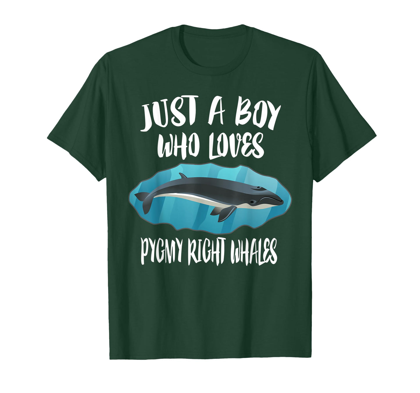 Just A Boy Who Loves Pygmy Right Whales T-Shirt