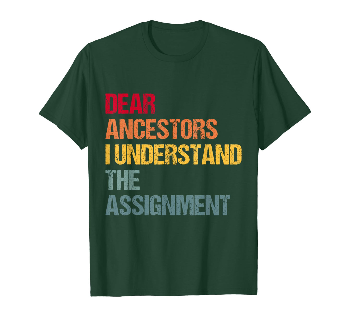 Dear Ancestors I Understand The Assignment T-Shirt