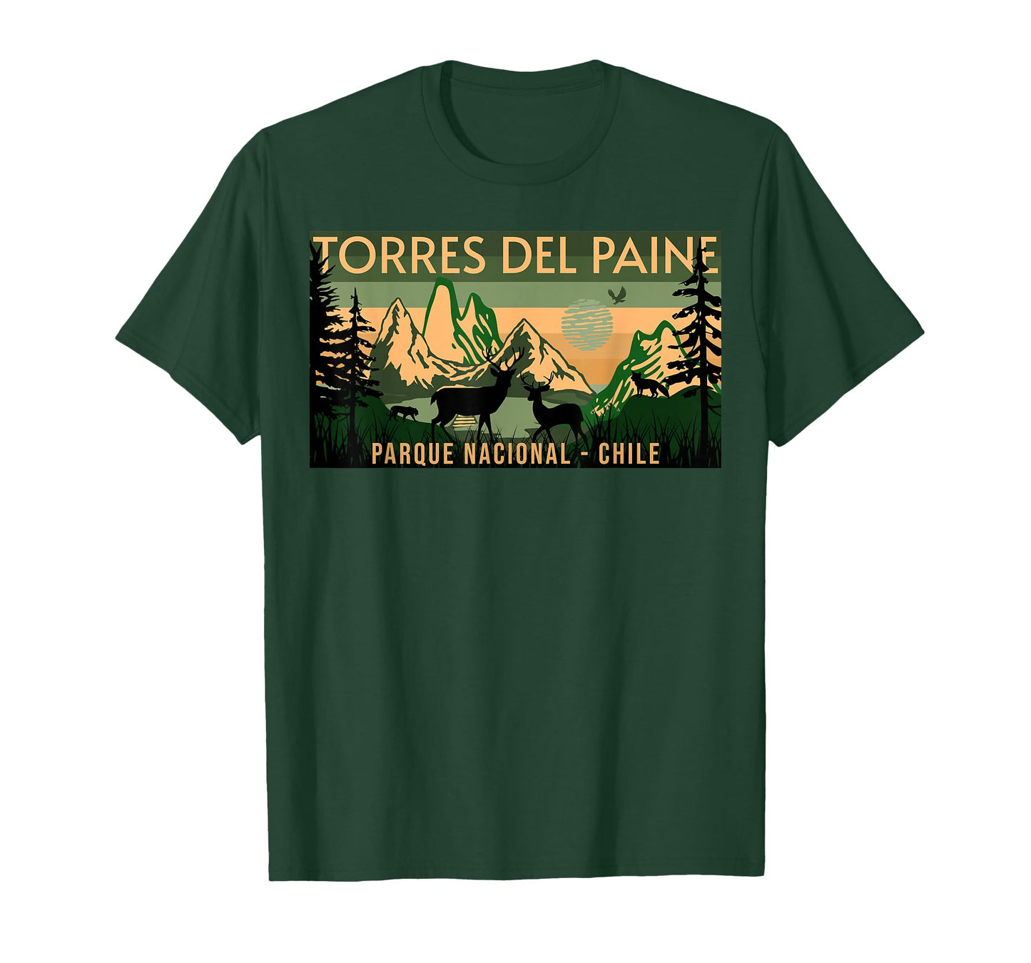 Parque Nacional Torres del Paine Chile T-Shirt, Small, Black