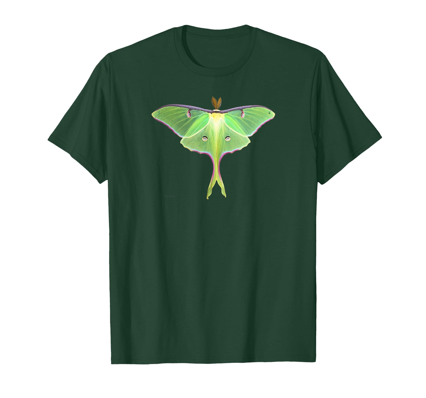 Luna Moth Beautiful Nature Butterfly Gift Lg T-Shirt