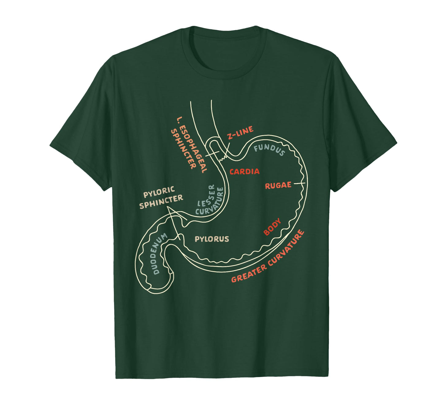 Gastroenterologist GI Nurse Gastroparesis Stomach Anatomy T-Shirt