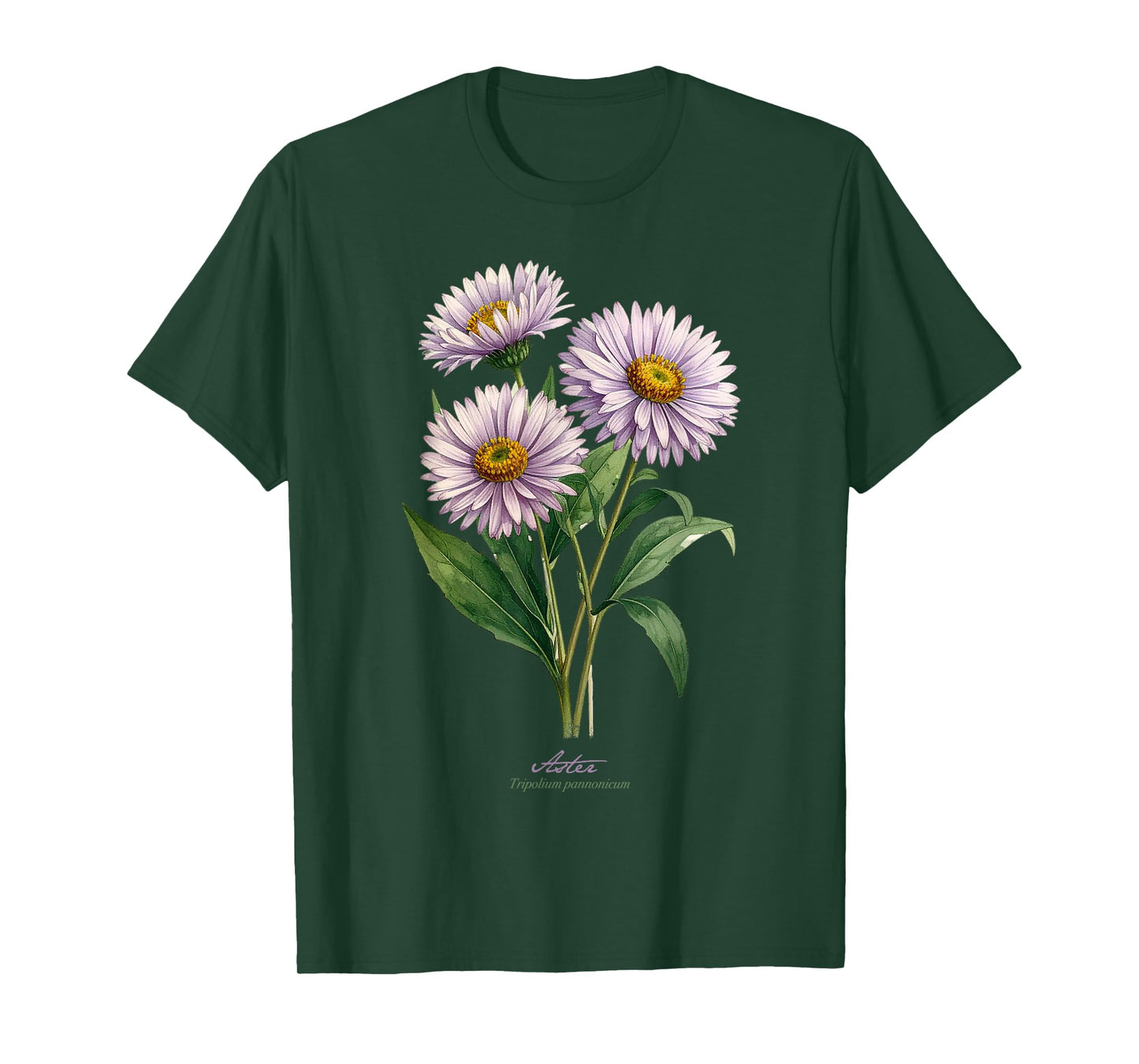 Aster Flower Scientific Name Vintage Illustration Flowers T-Shirt