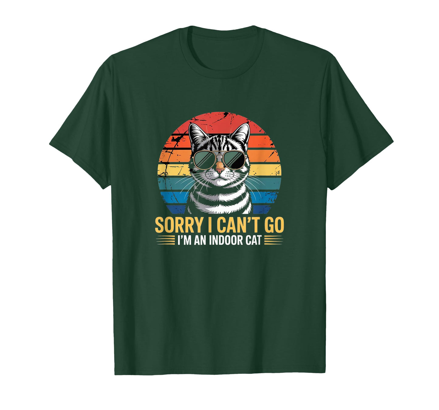 Sorry I Can’t Go – I’m an Indoor Cat Vintage Tee T-Shirt