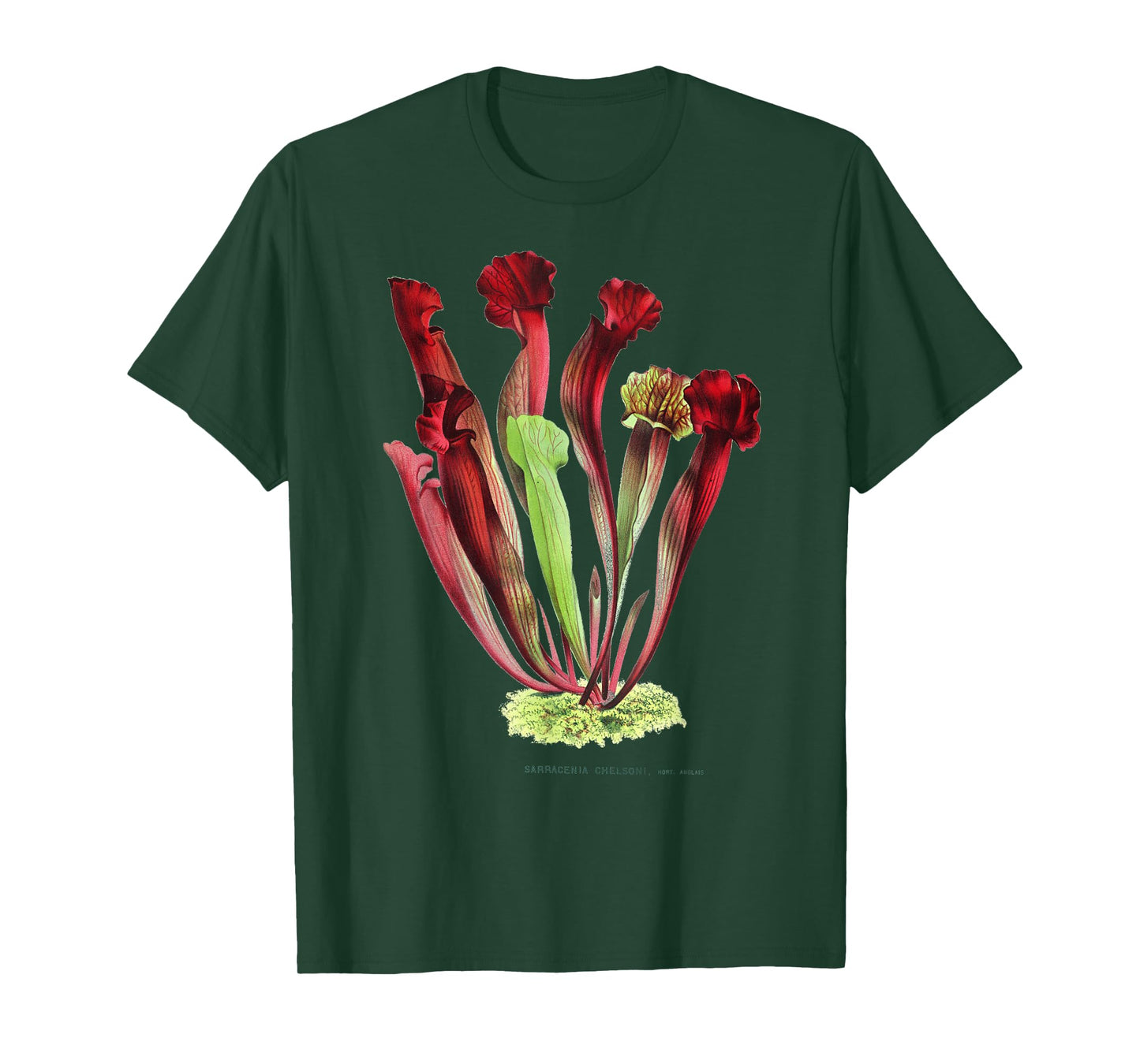 Carnivorous Plants CARNIVOROUS PITCHER PLANT Sarracenia T-Shirt