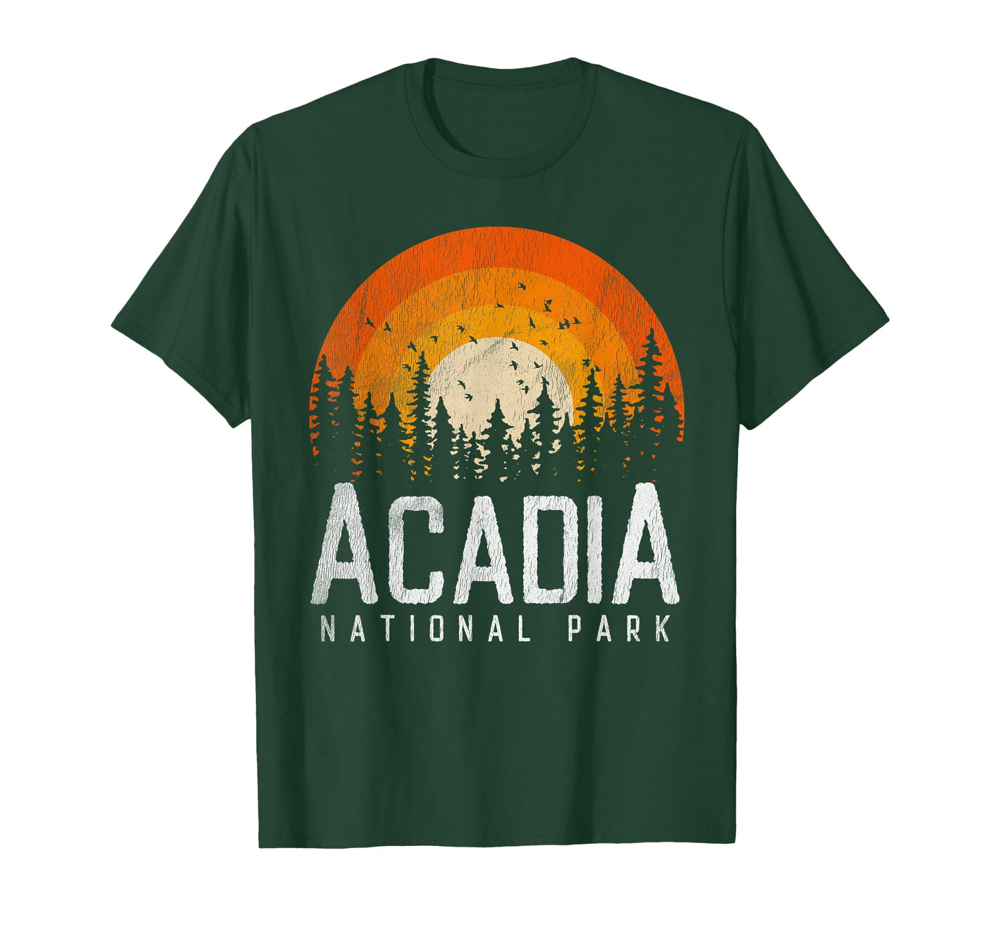 Acadia - National Park Vintage Men Women 70s 80s Outdoor T-Shirt