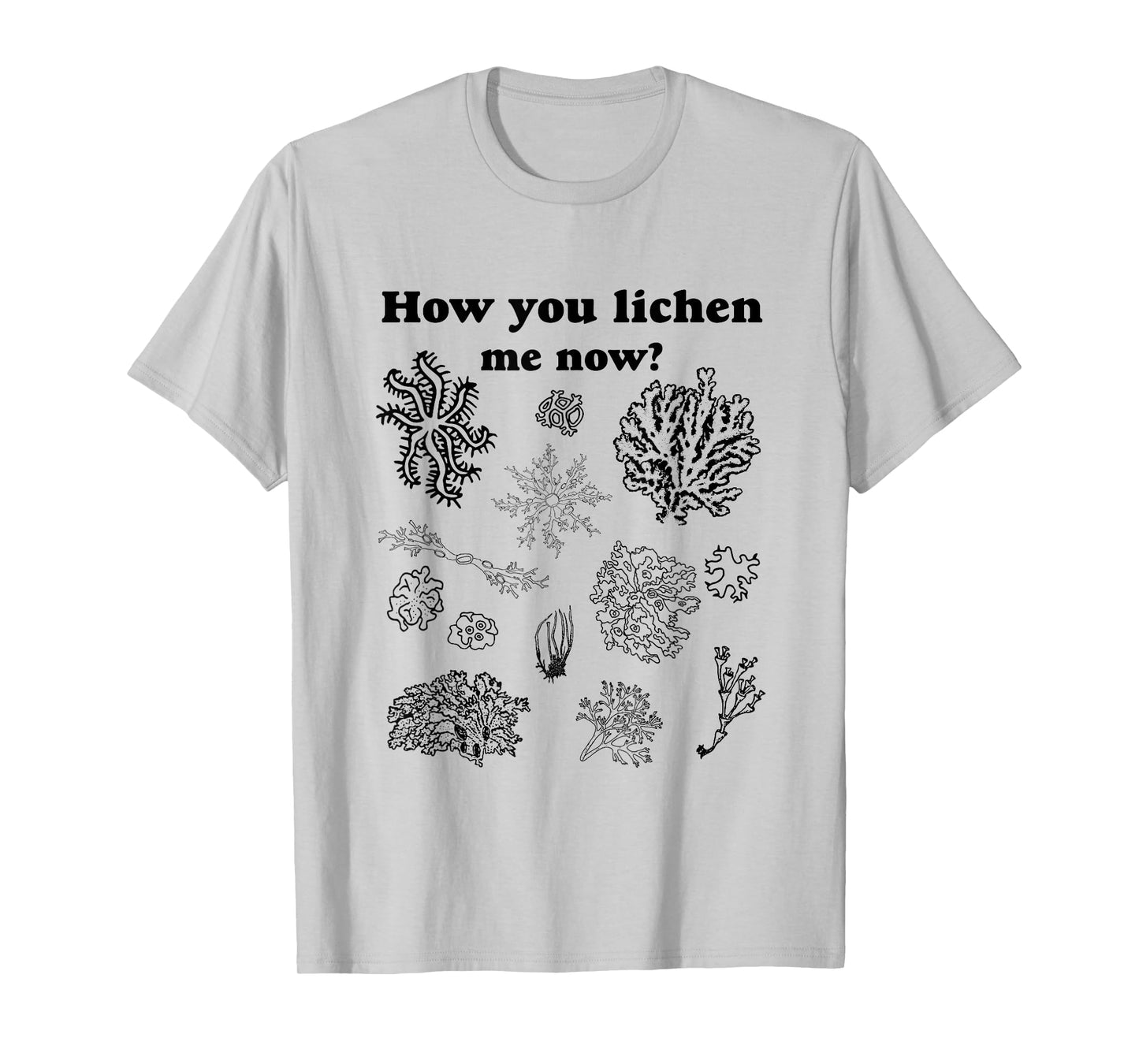 How You Lichen Me Now? Funny Vintage Moss Pun Graphic Tee T-Shirt