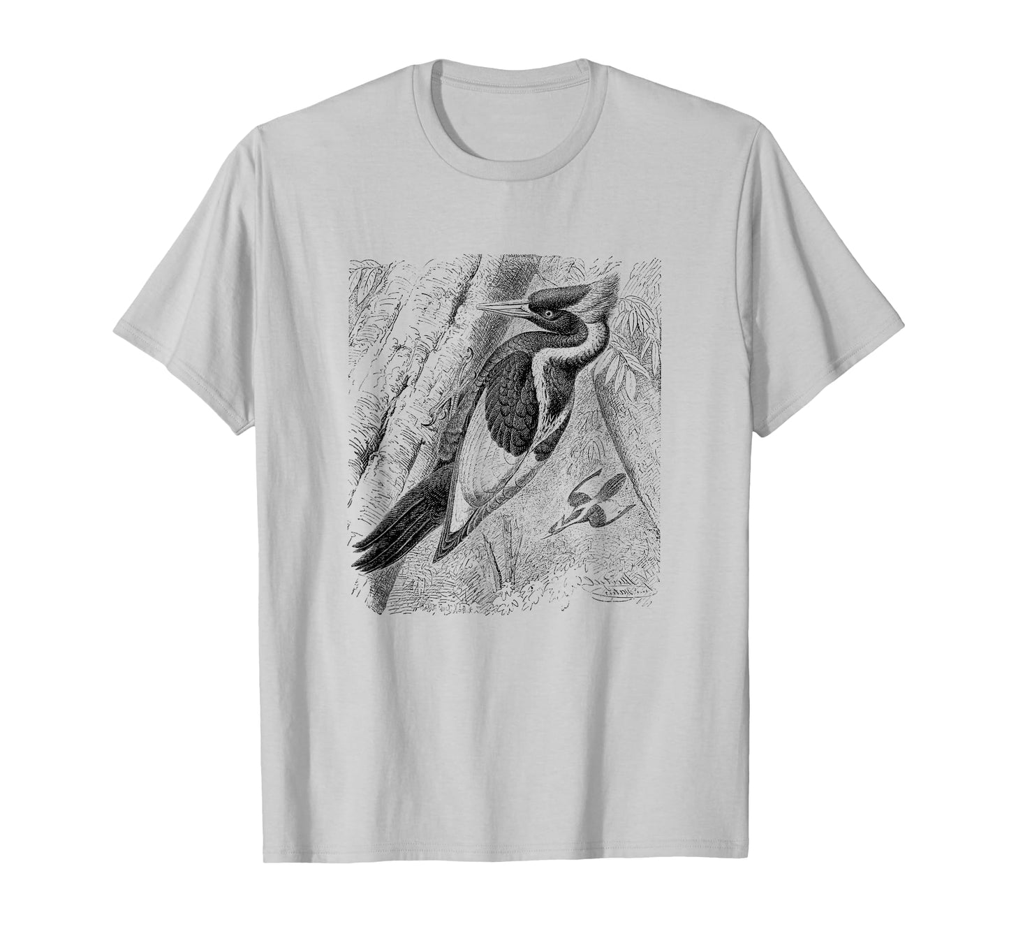 Ivory Billed Woodpecker Print T-Shirt T-Shirt