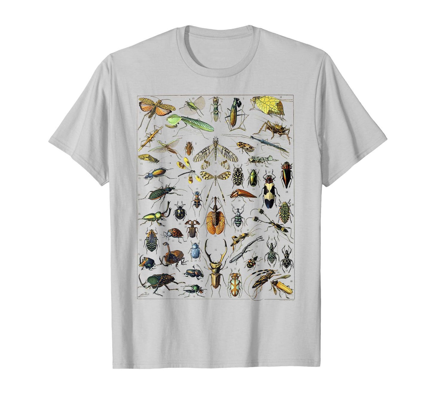 Insect Bug Entomology Print Gift Bug Print T-Shirt