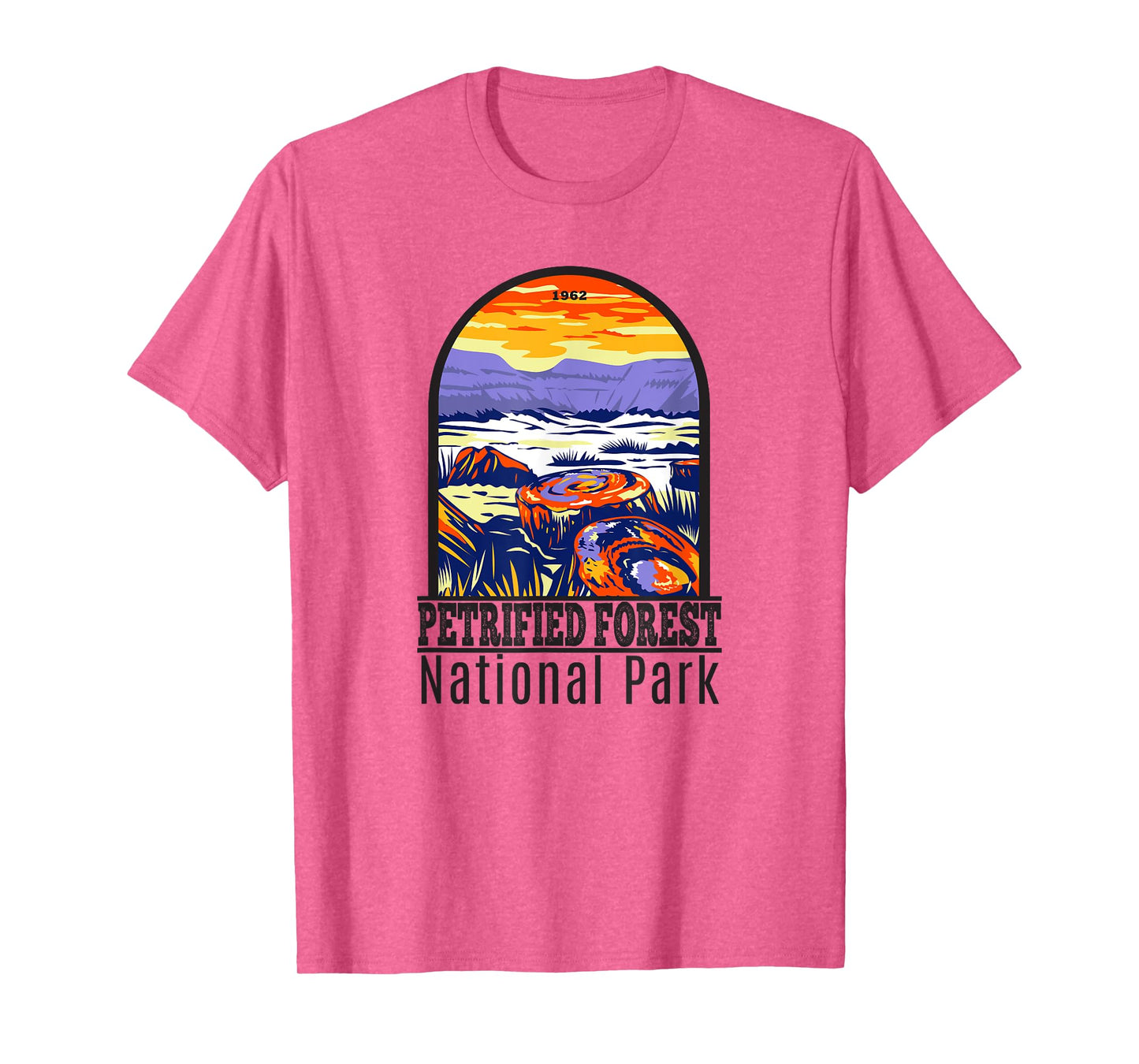 Totally Wild Designs Petrified Forest National Park Retro T-Shirt, Grey, Small, Classic Fit, Short Sleeve, Crew Neck, Unisex-Adult