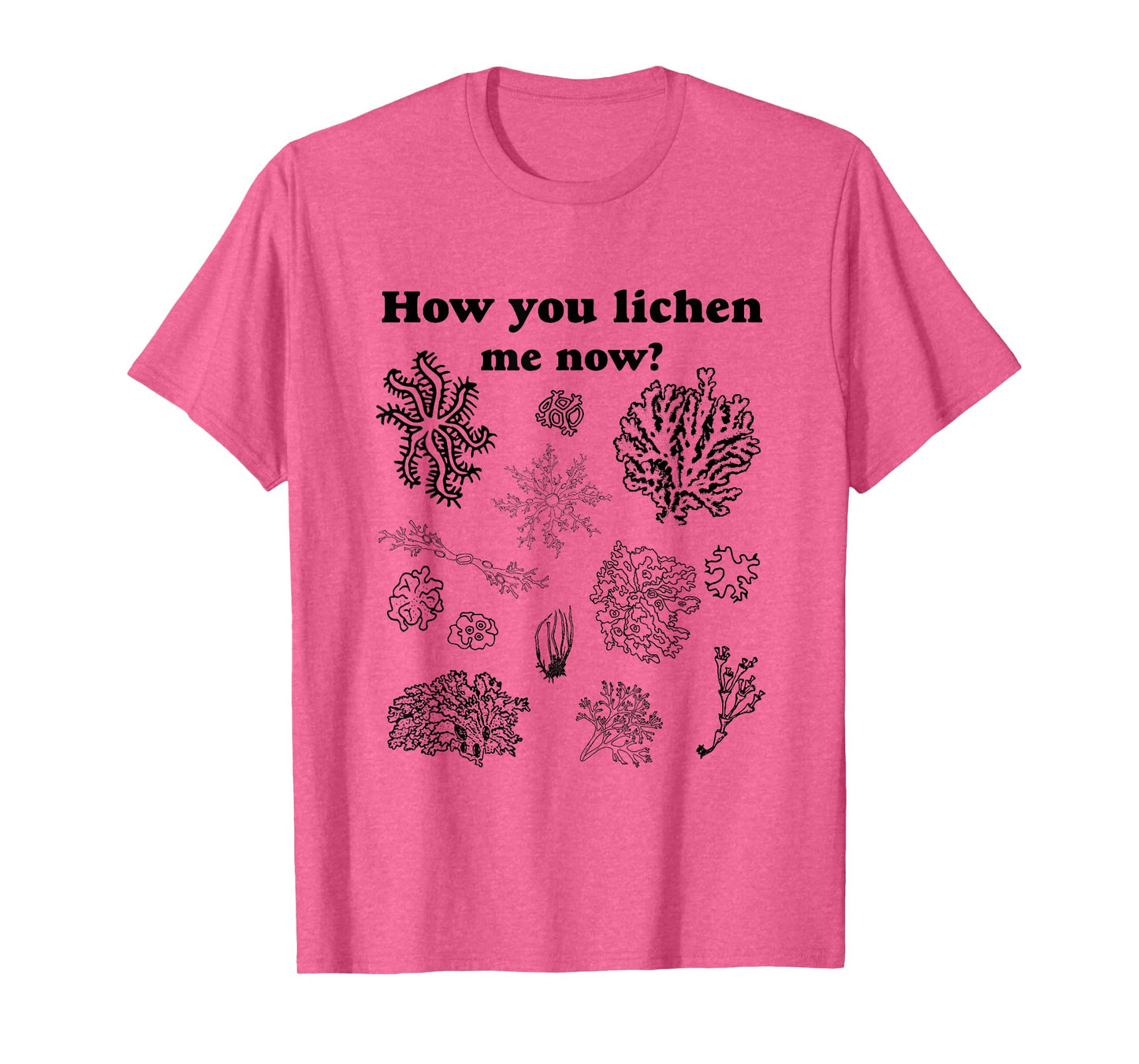 How You Lichen Me Now? Funny Vintage Moss Pun Graphic Tee T-Shirt