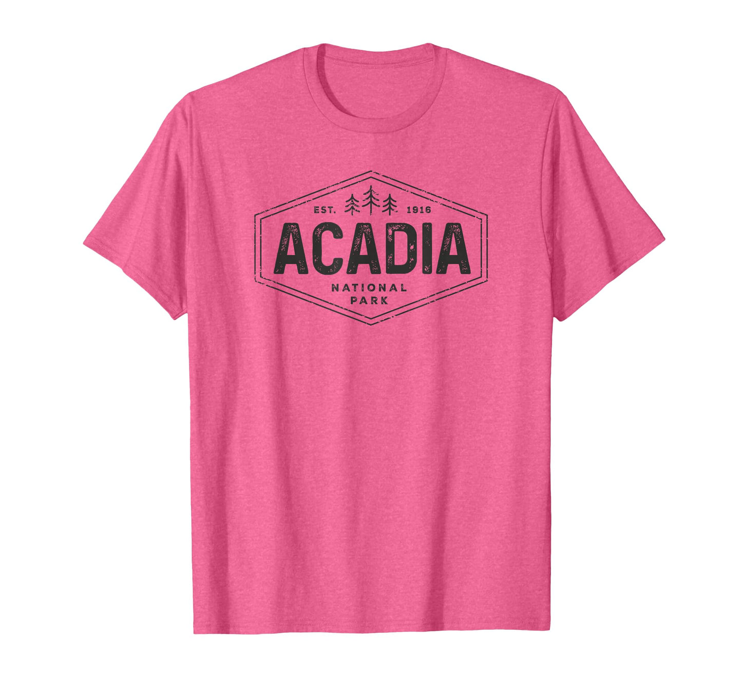 Acadia National Park Shirt Vintage Tree Hexagon Badge Hiking T-Shirt