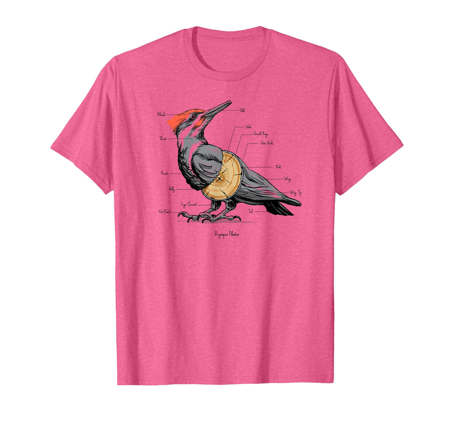 Woodpecker anatomy T-Shirt