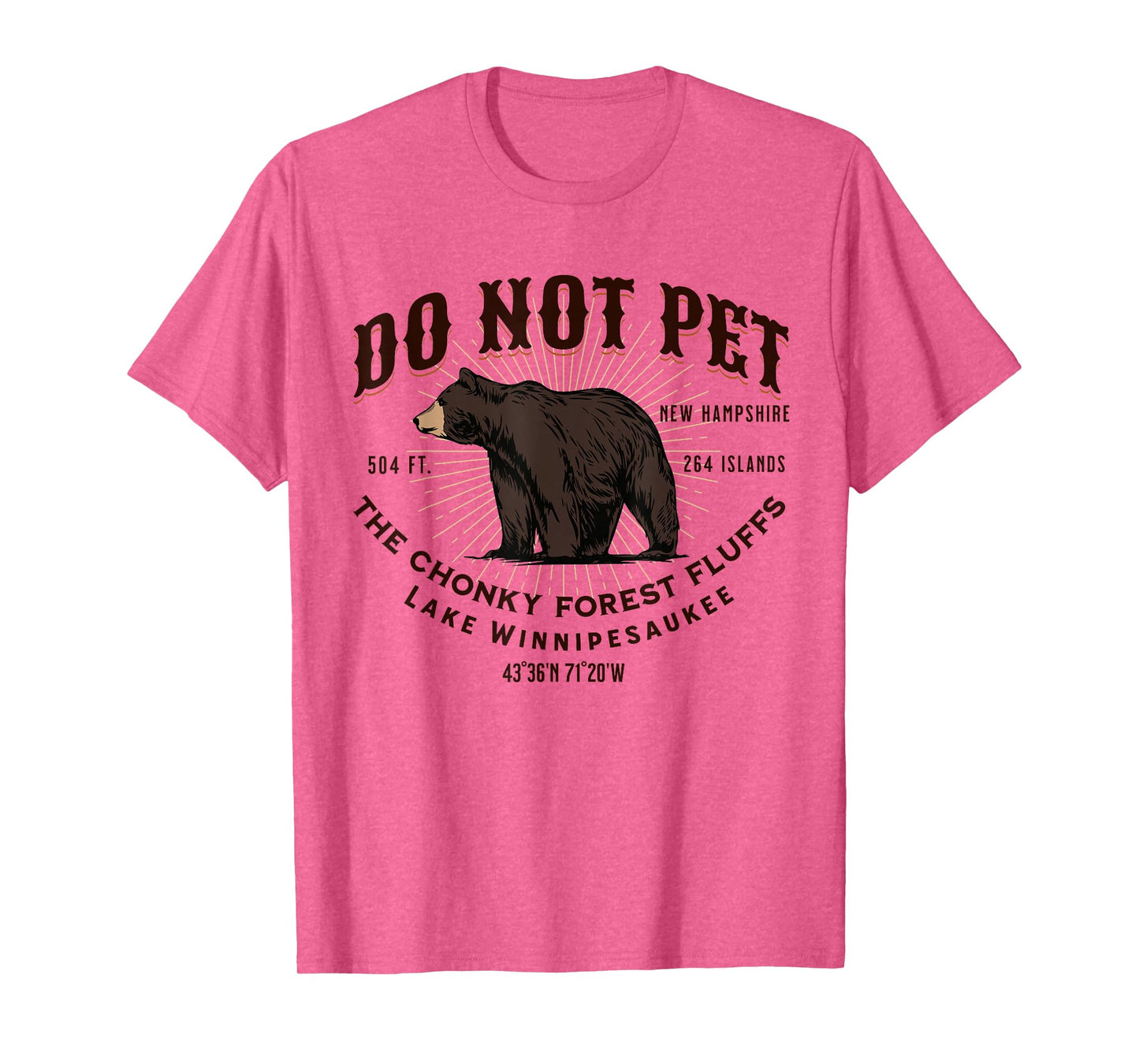 Lake Winnipesaukee New Hampshire Black Bear Funny Souvenir T-Shirt
