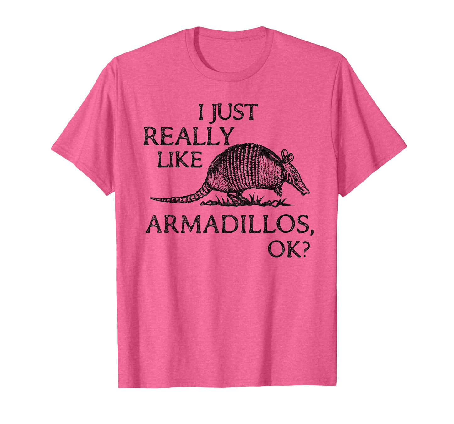 Armadillo Lover I Just Really Like Armadillos OK? T-Shirt