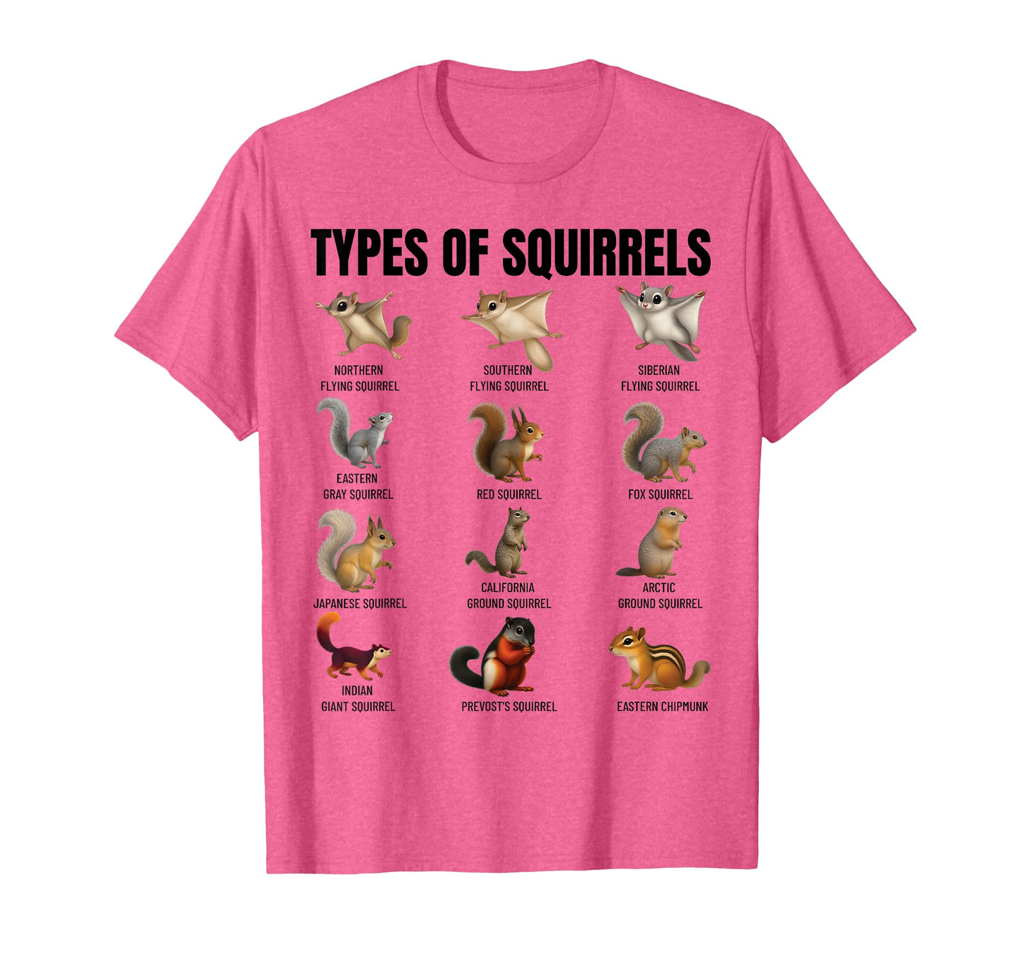 Types of Squirrels Identification Chart Species of Squirrels T-Shirt
