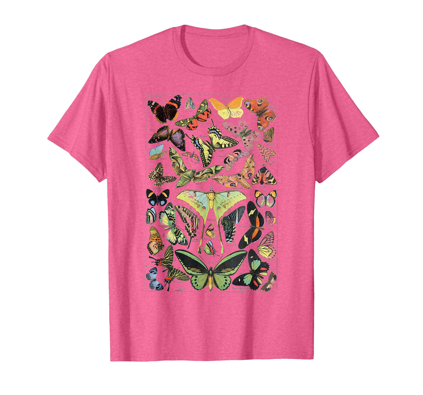 Vintage Butterflies Butterfly Collection scientific T-Shirt