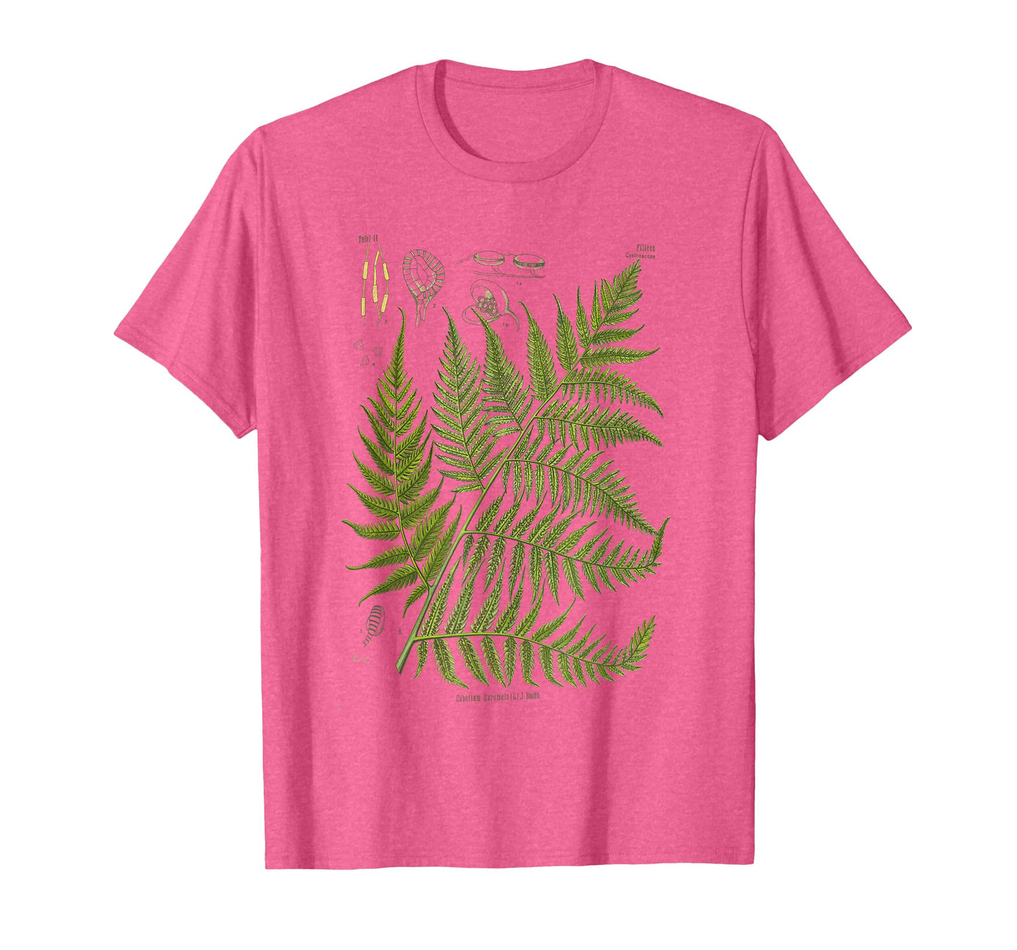 Vintage Botanical Fern Garden Botany Fern T-Shirt