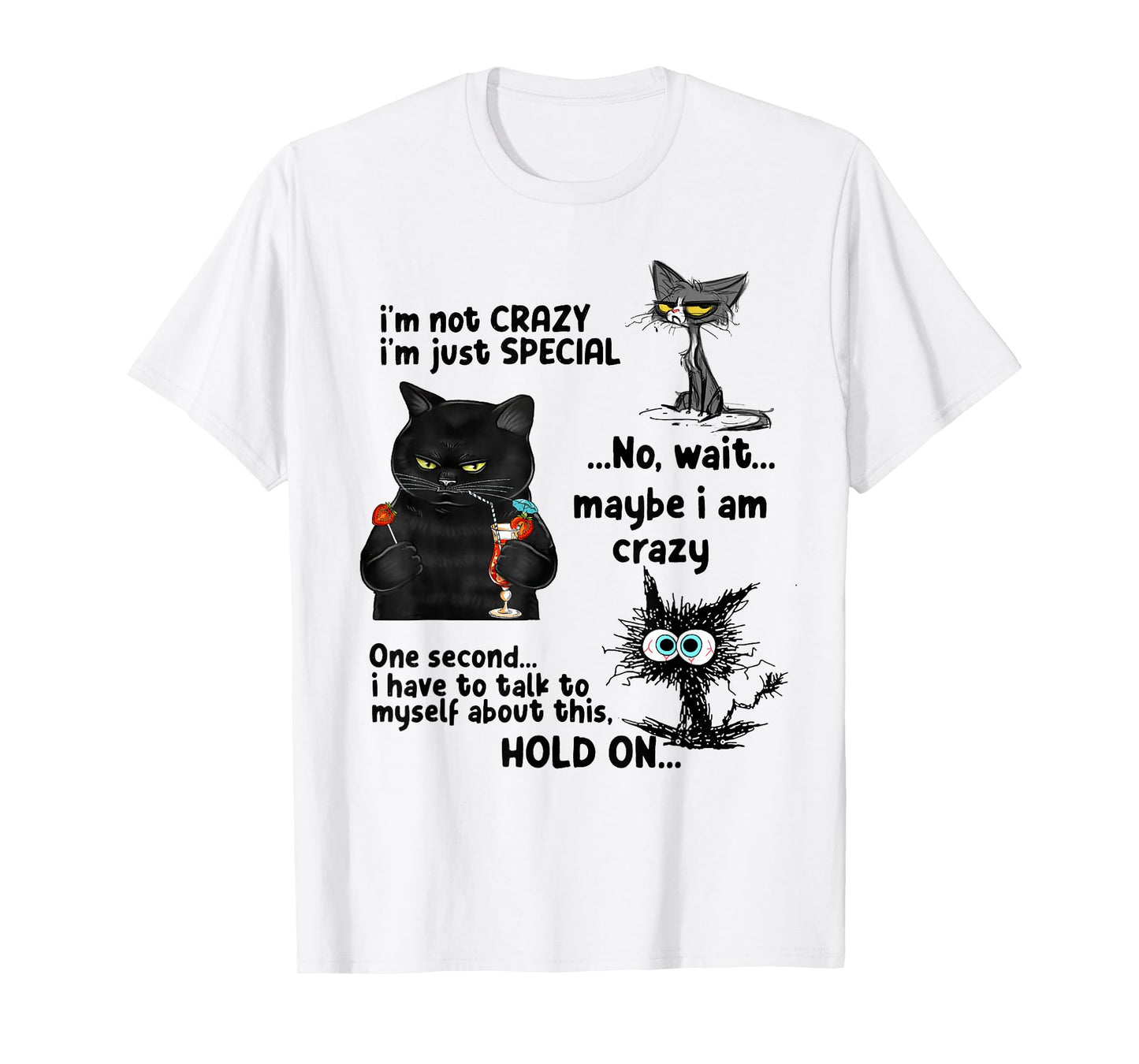 I'm Not Crazy I'm Just Special Wait Maybe I'm Crazy T-Shirt