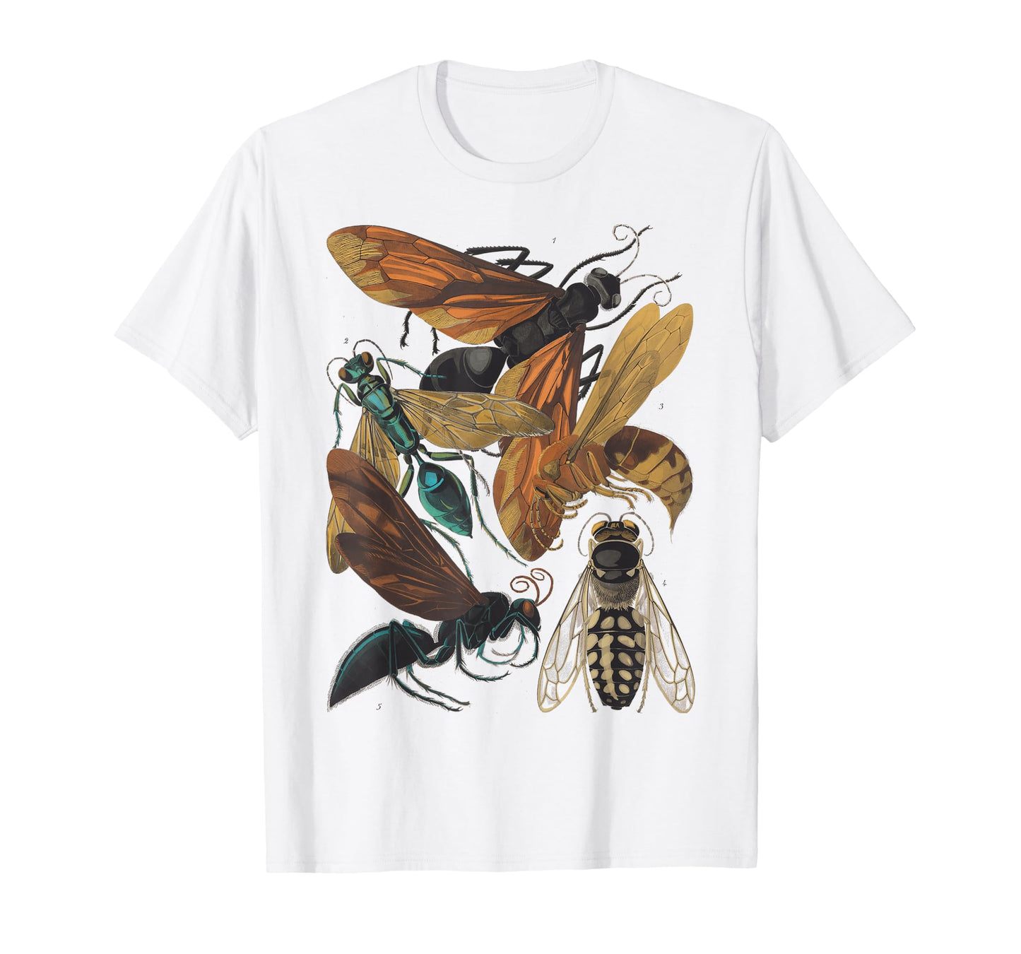 insects Collection Species Bugs Vintage Entomology T-Shirt